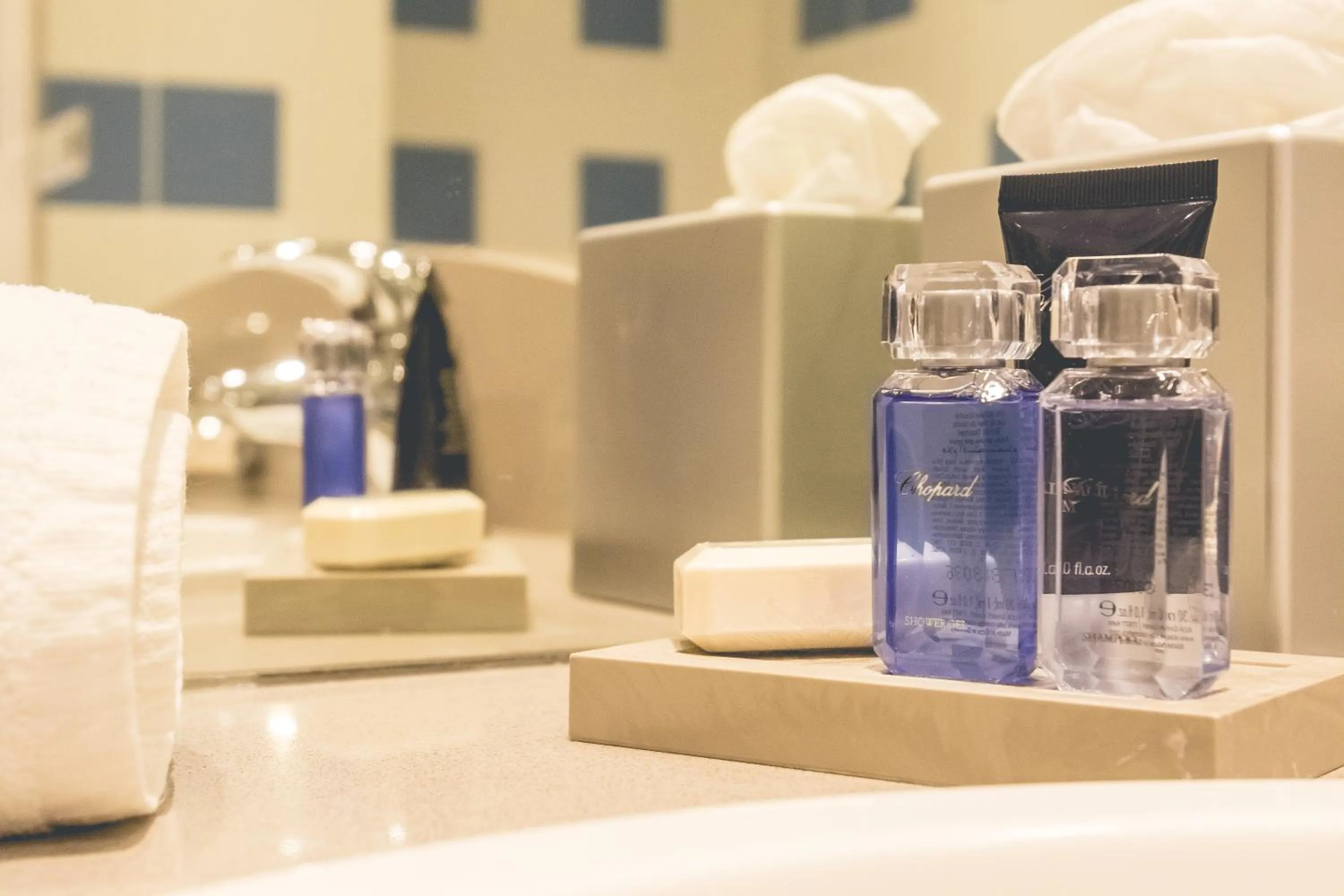 Bathroom in Hotel des Roches