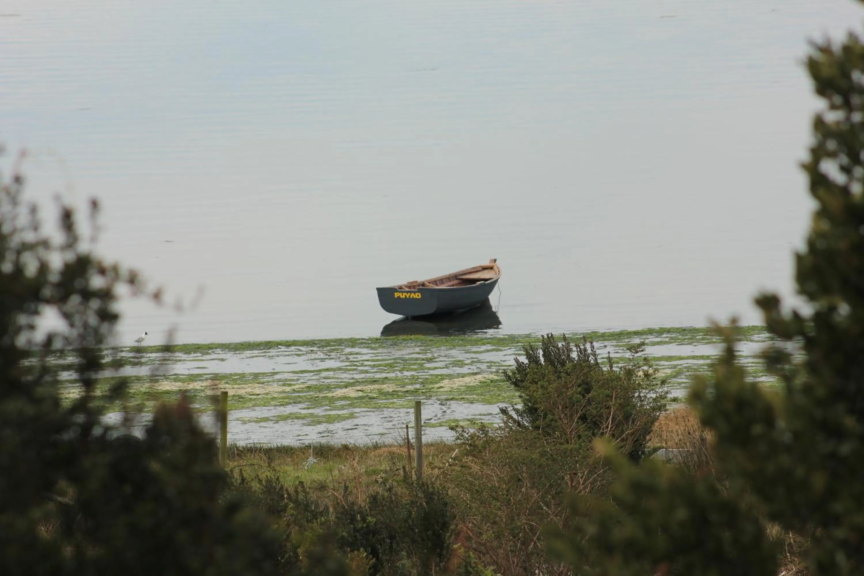 Day in Refugio Pullao