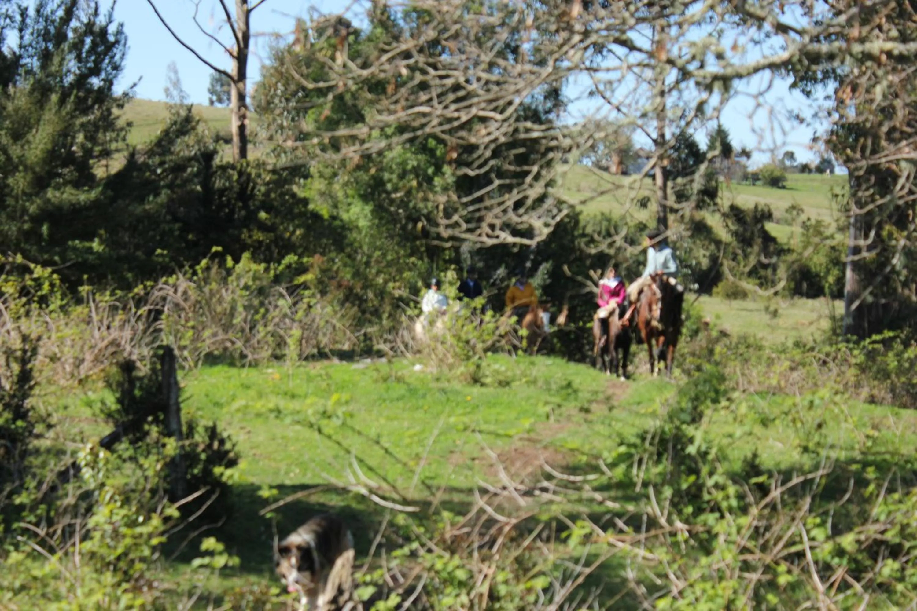 Day in Refugio Pullao