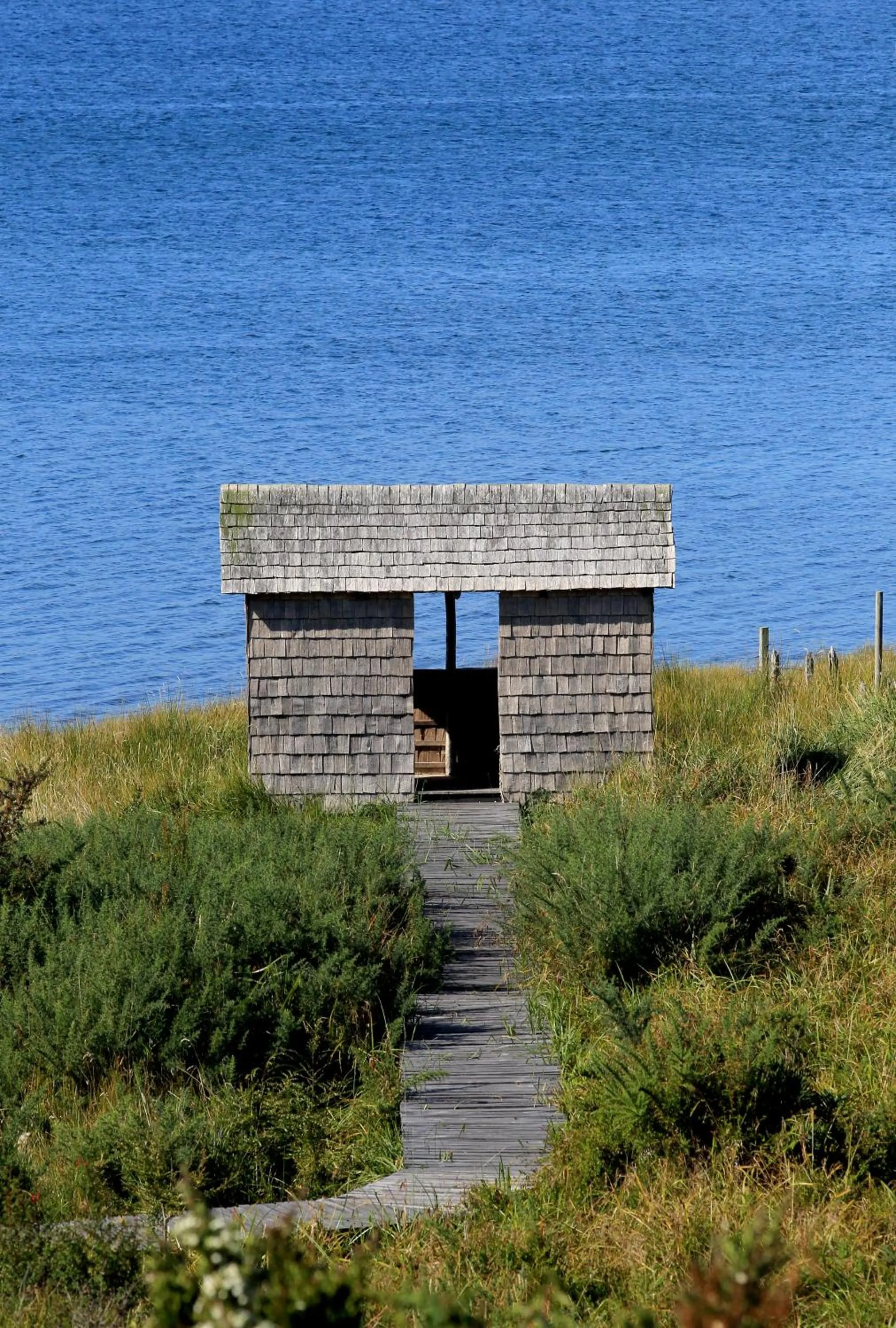 Activities in Refugio Pullao