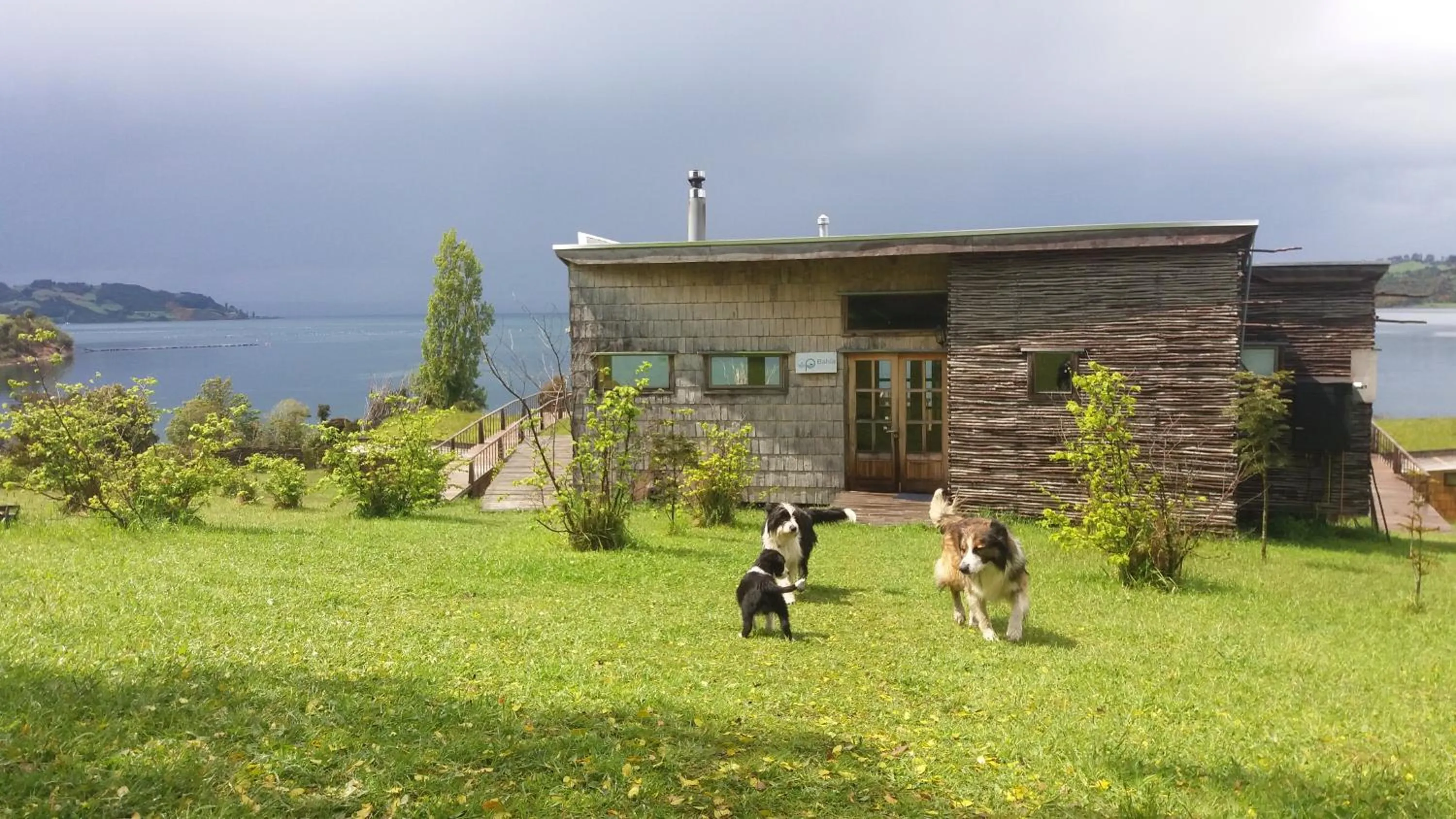 Natural landscape in Refugio Pullao