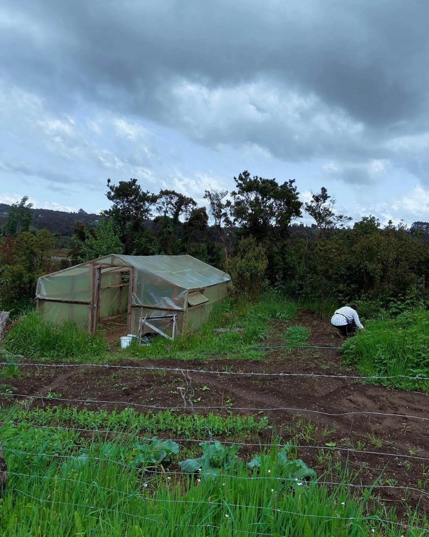 Garden in Refugio Pullao