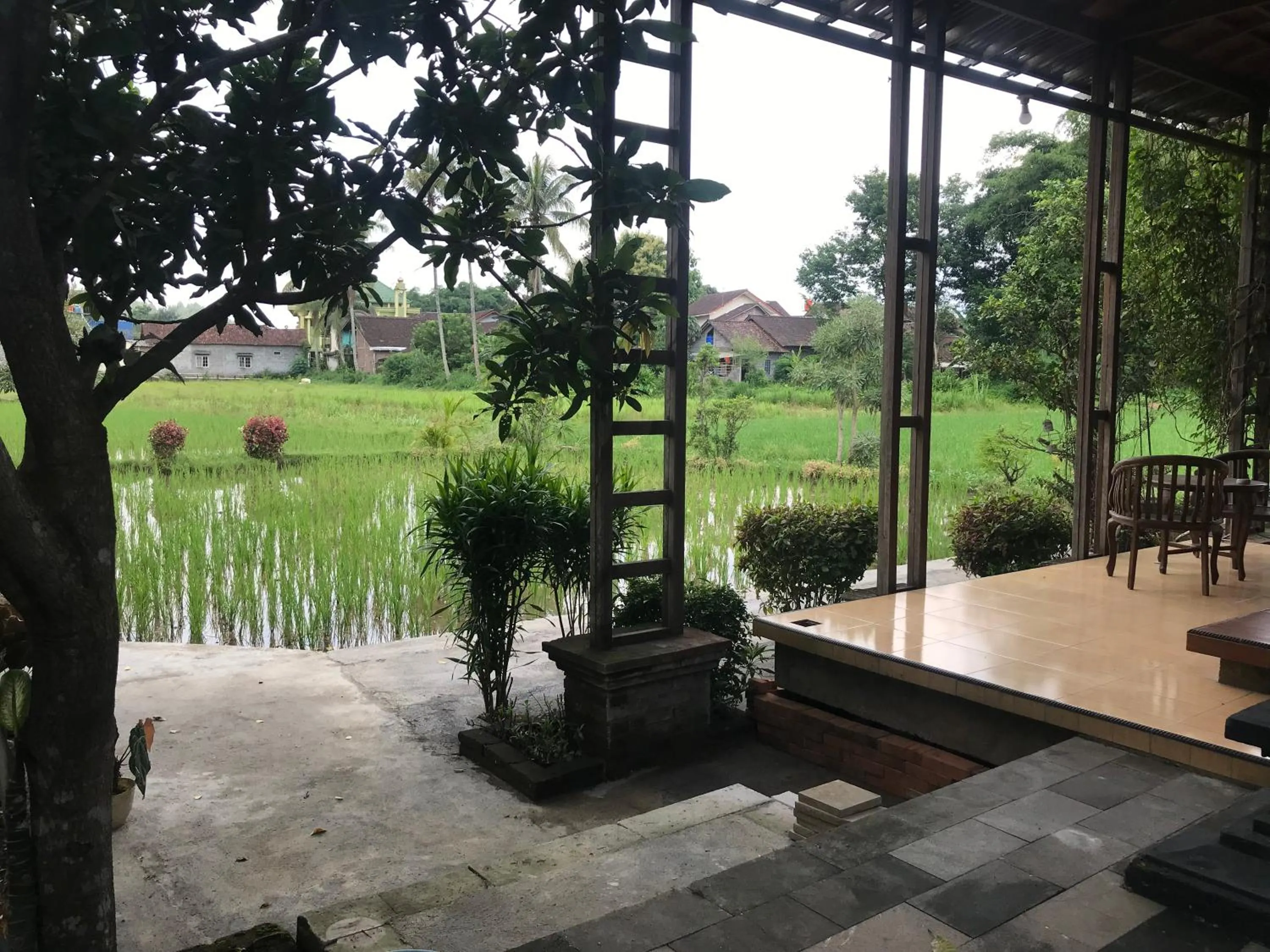 Natural landscape in Lotus 2 Guest House