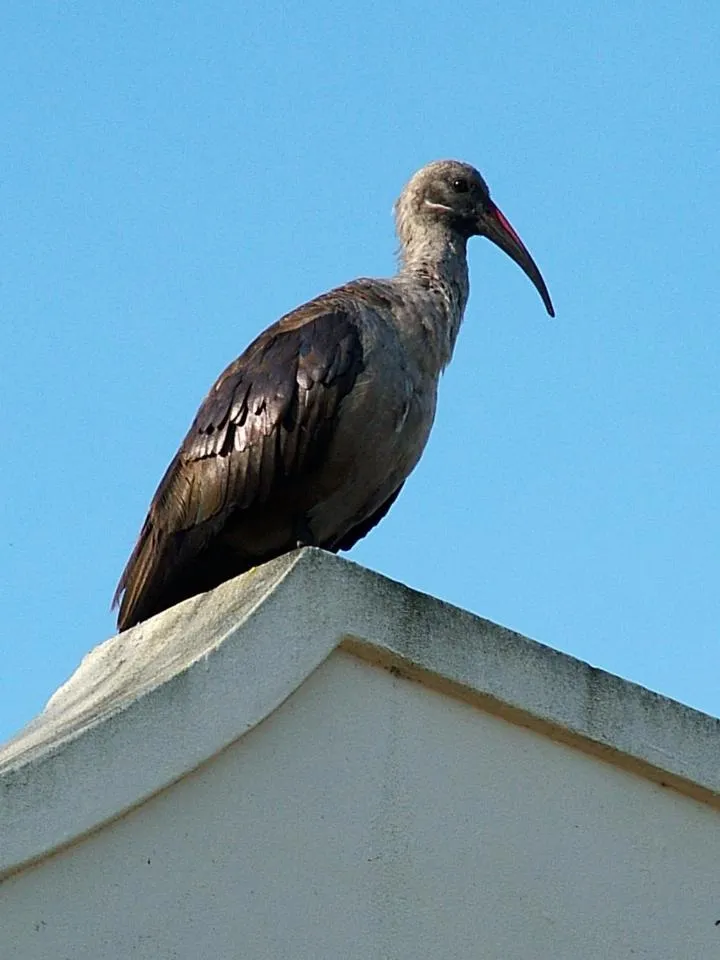 Natural landscape in Mont Fleur B&B