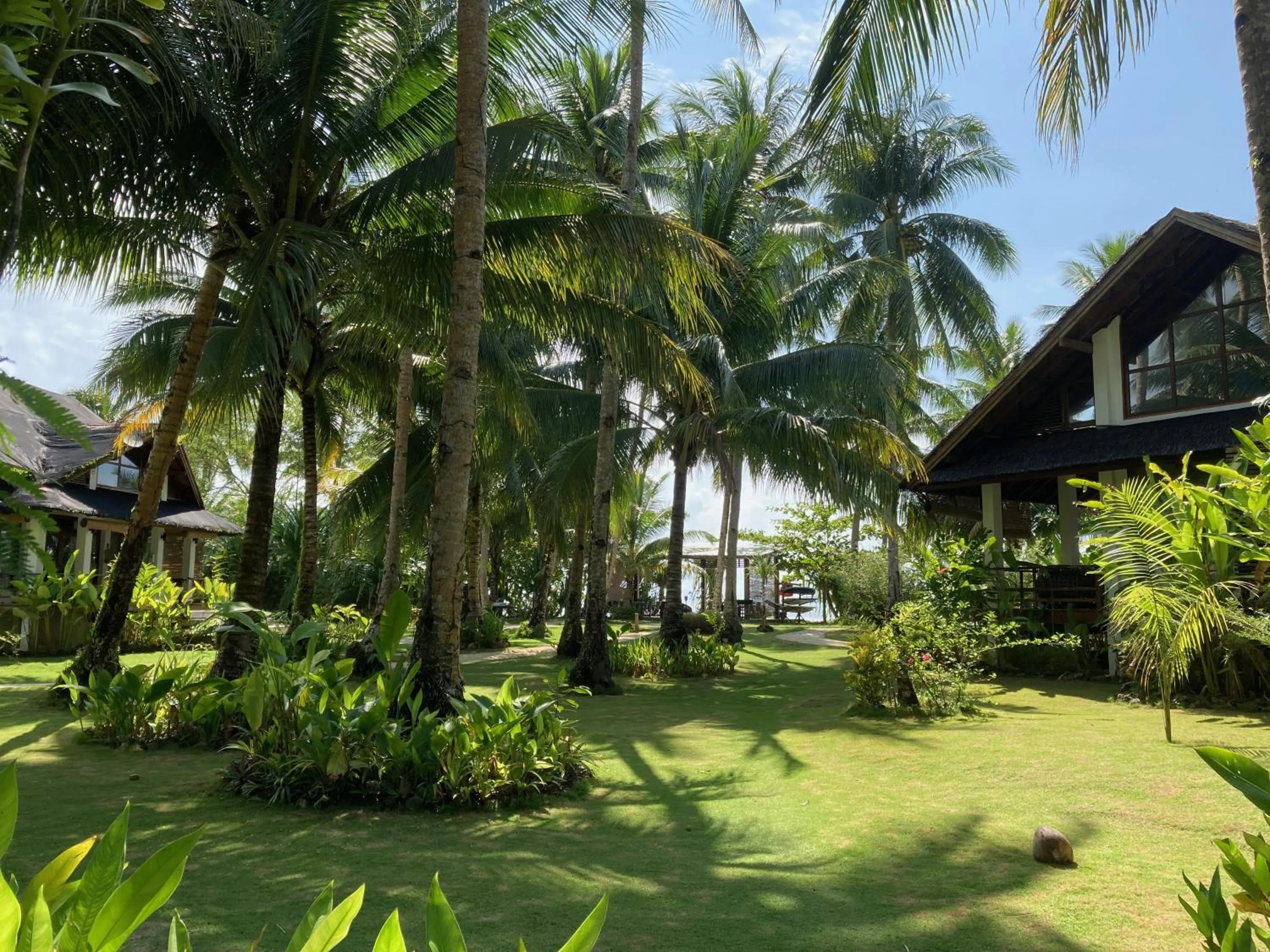 Garden in Sandy Feet Siargao