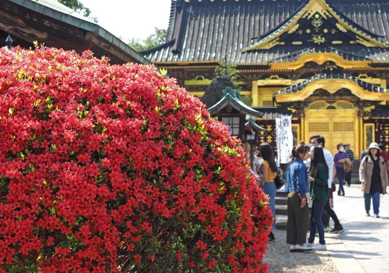 Nearby landmark in APA Hotel Ueno Ekikita