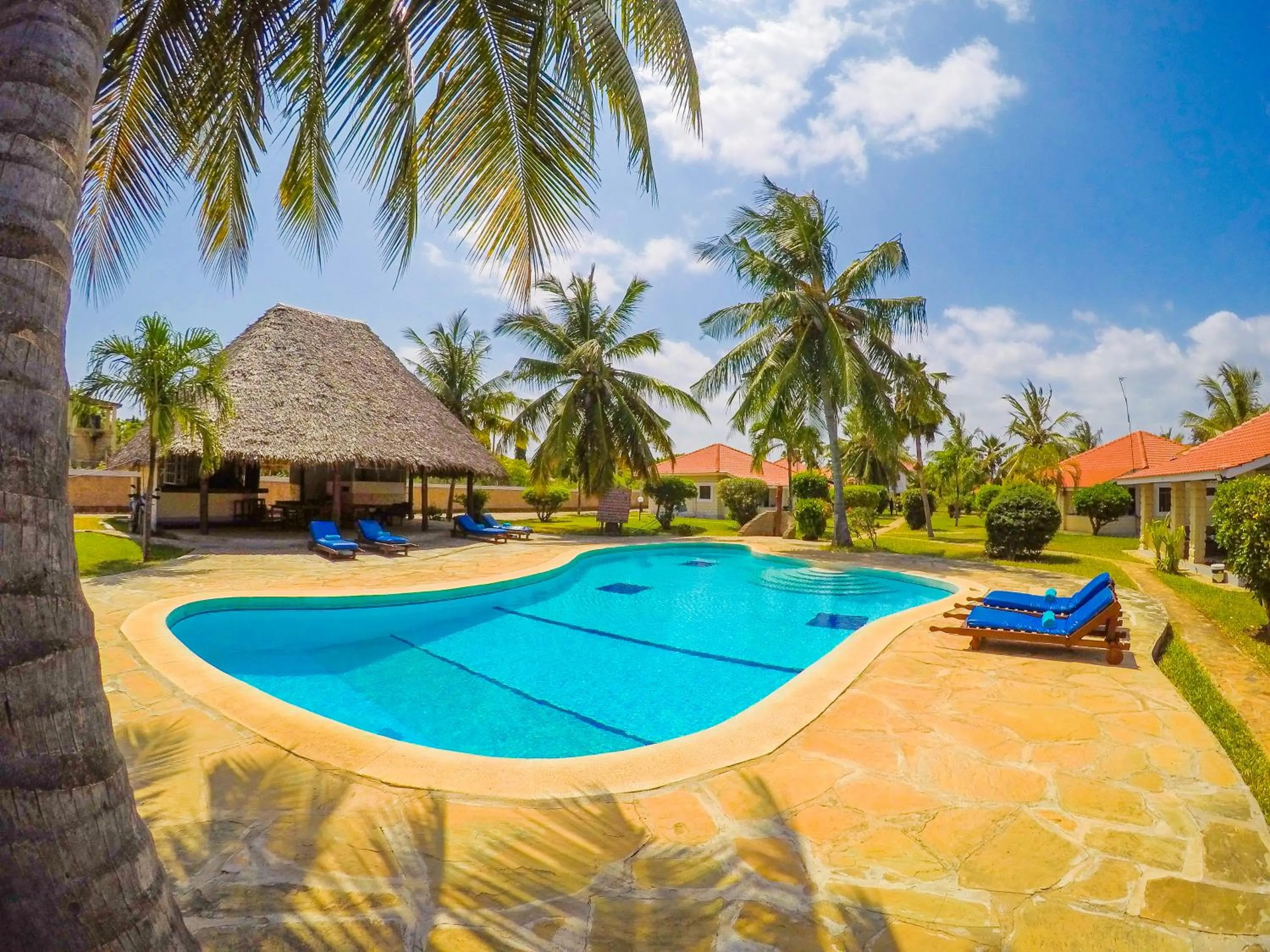 Swimming pool in Doric Cottages Diani