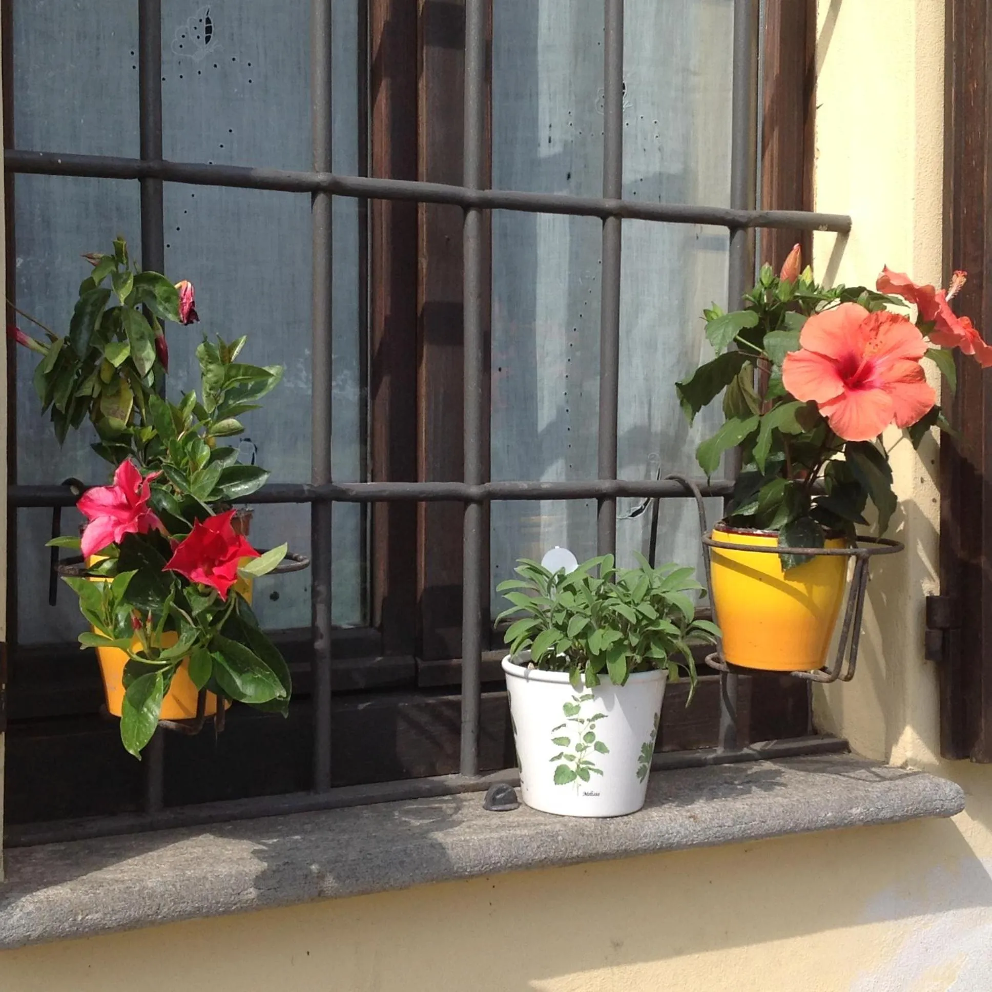 Other in Agriturismo La Morosina