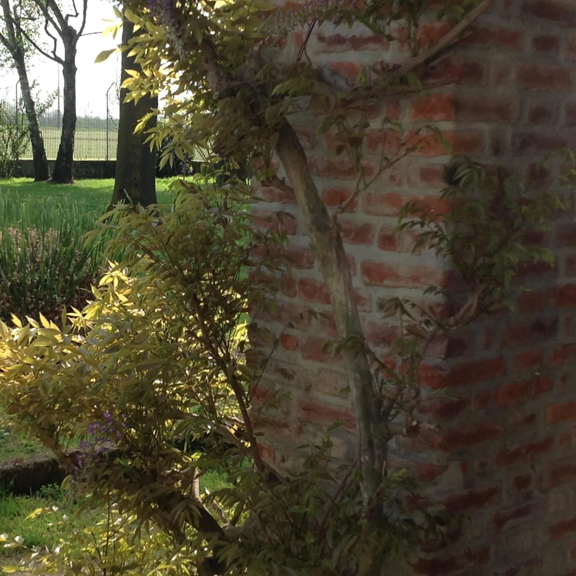 Other in Agriturismo La Morosina