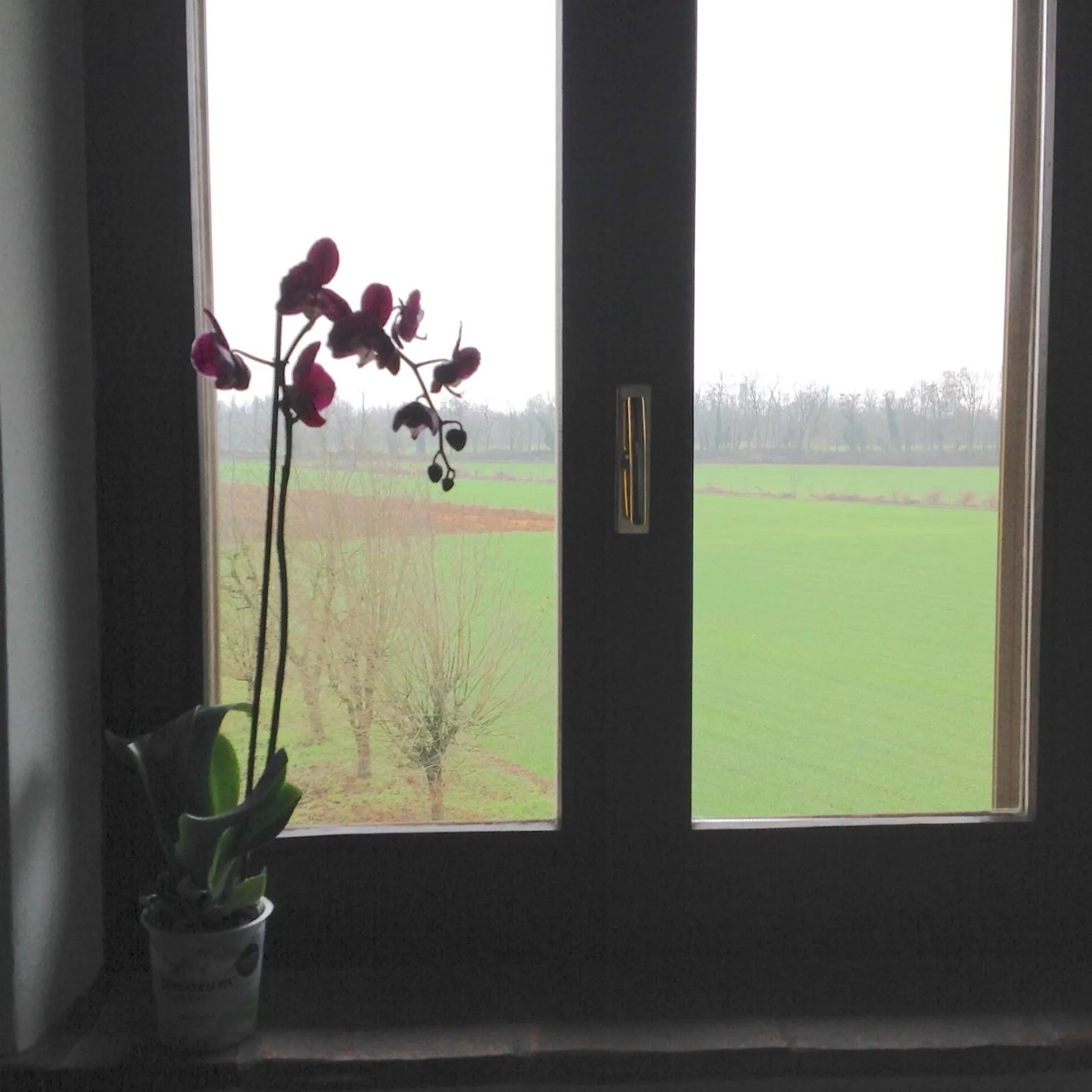 Day in Agriturismo La Morosina