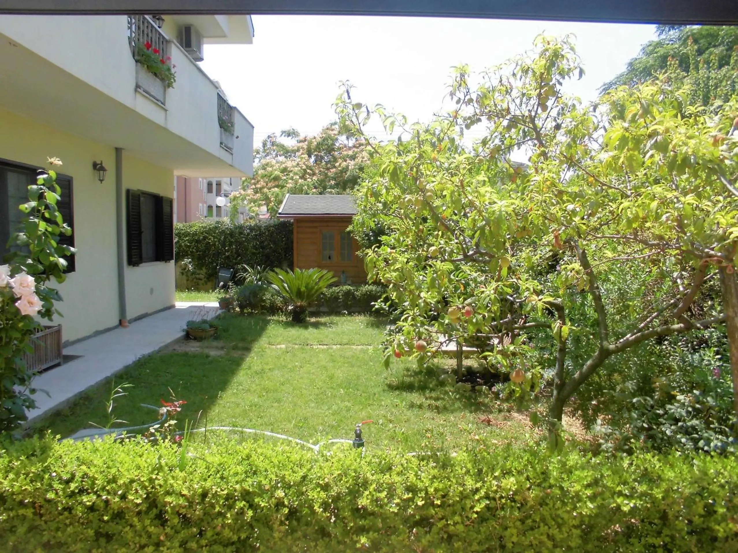 Garden in Il Cavalluccio Marino