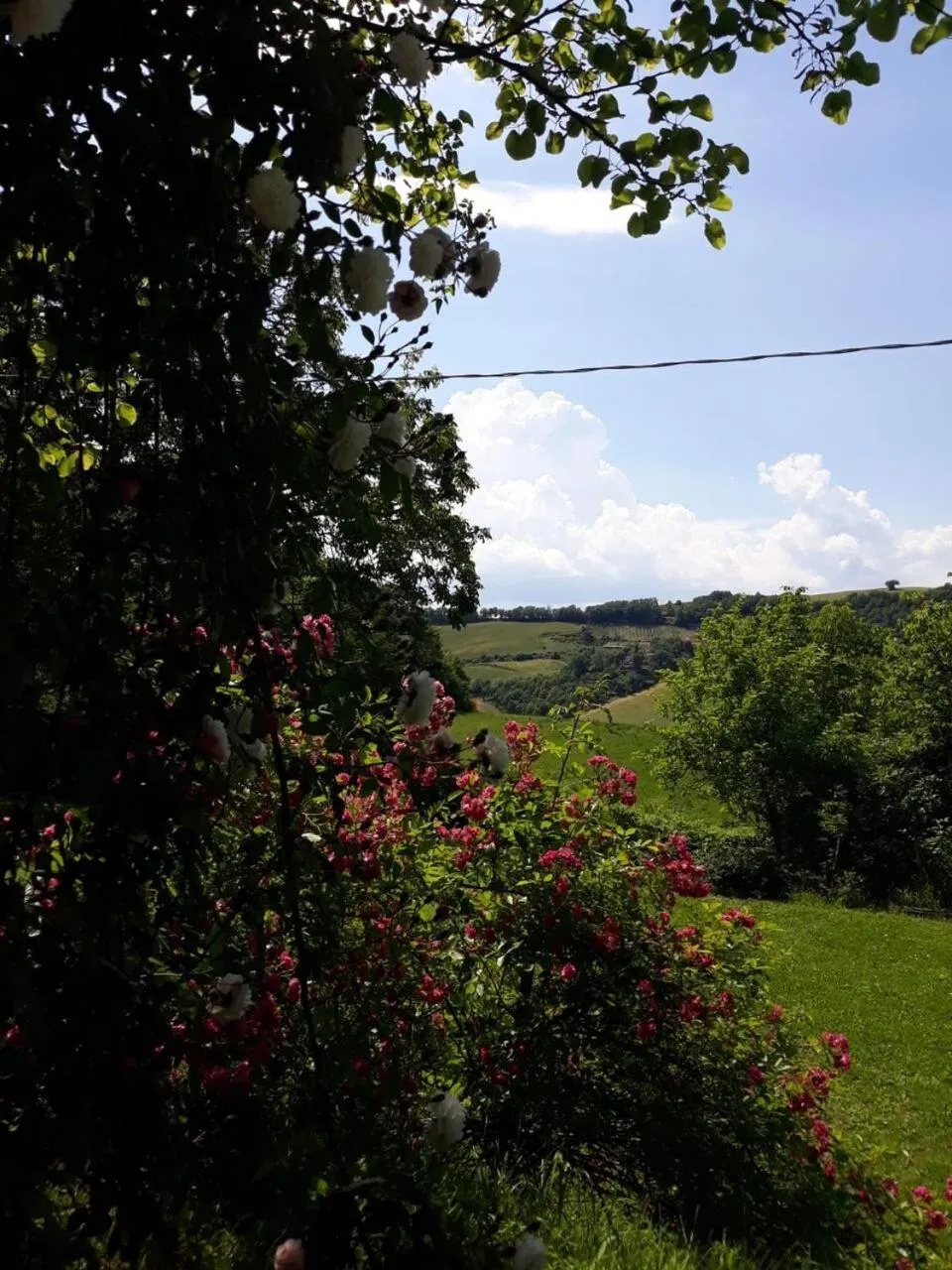 Natural landscape in B&B I Canonici
