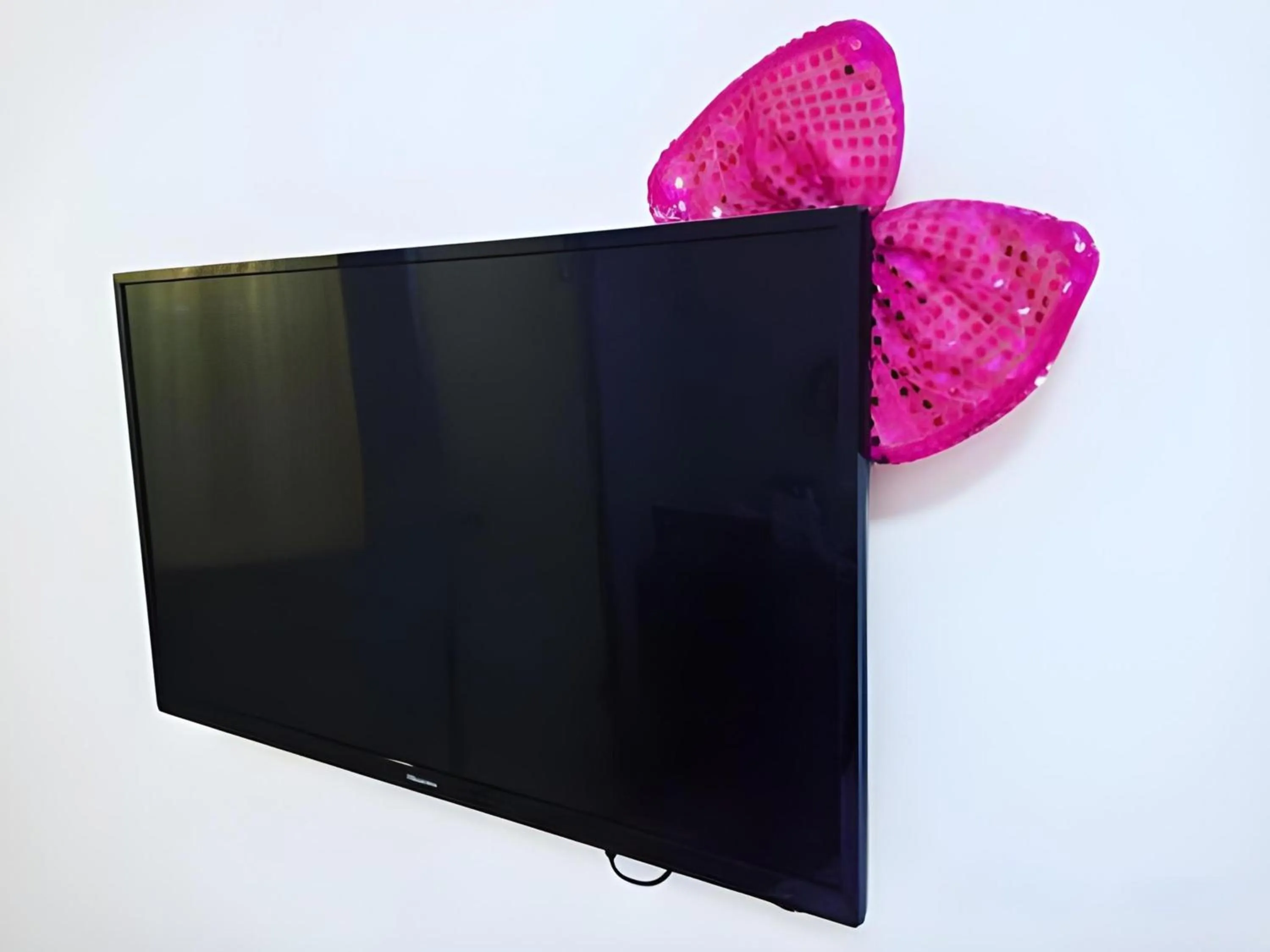 TV and multimedia in Hotel O Elephant House Boutique Hotel