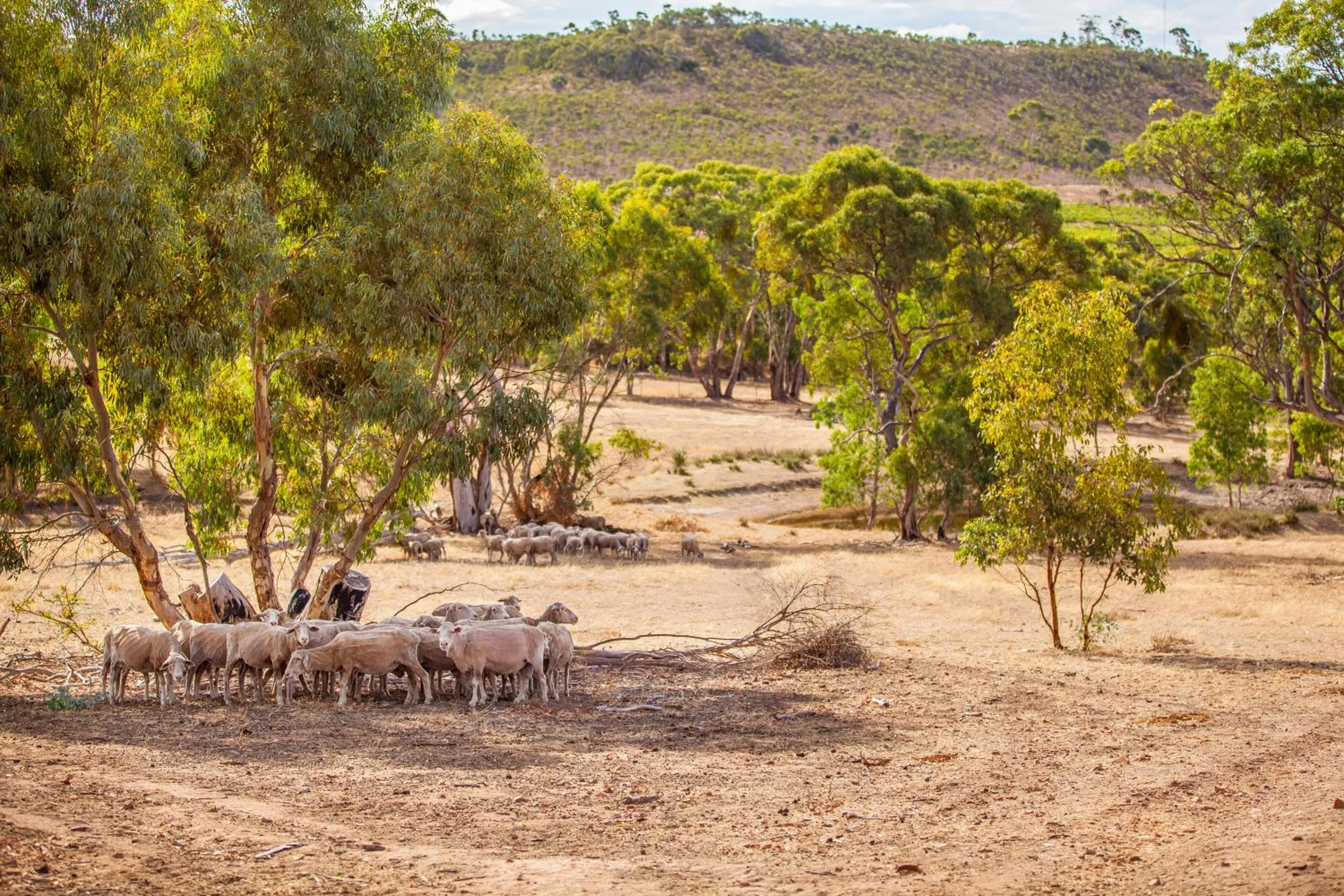 View (from property/room) in Neagles Retreat Villas