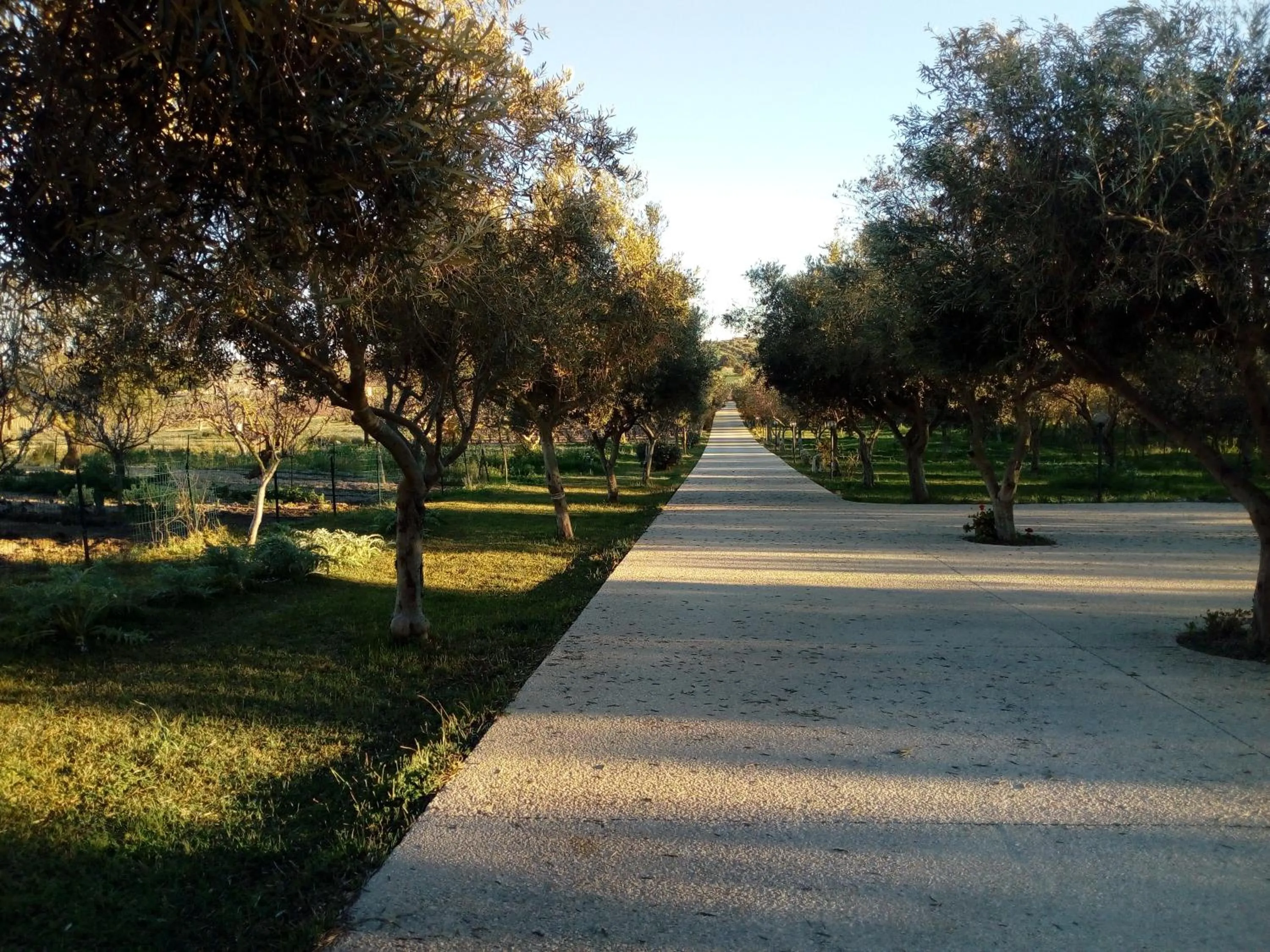 Il Poggetto Marzamemi B&B