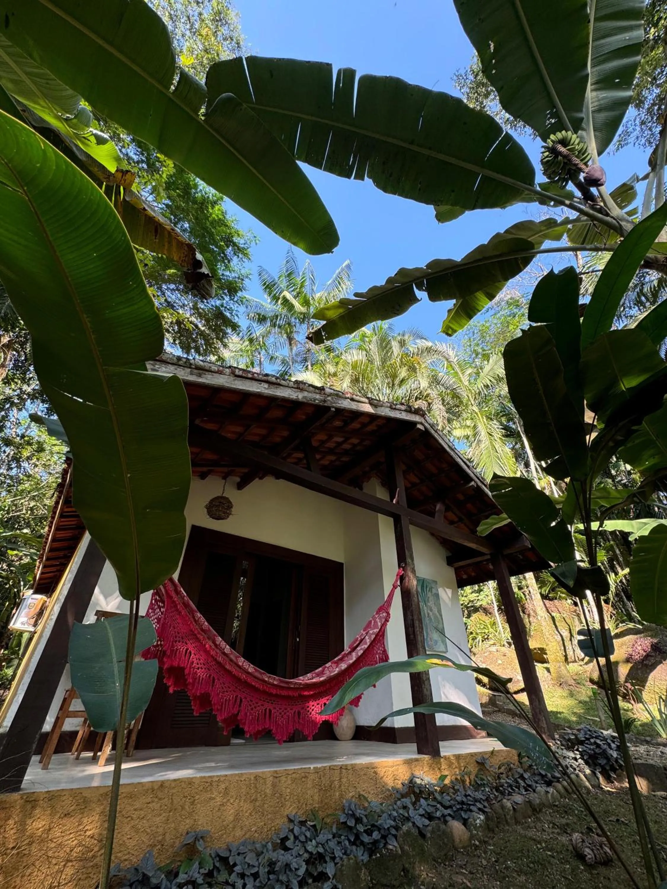 Garden view in Pousada Bromélias