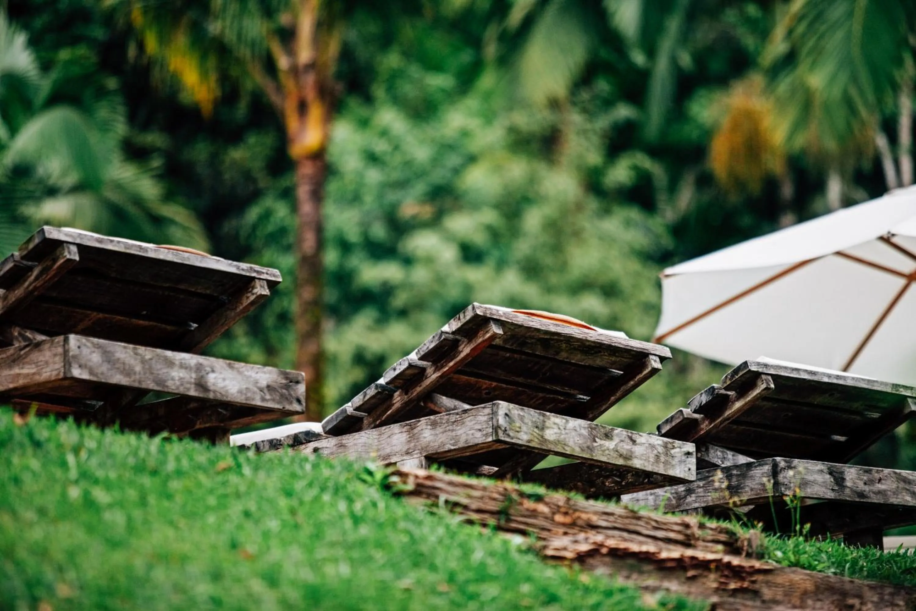 Swimming pool in Pousada Bromélias