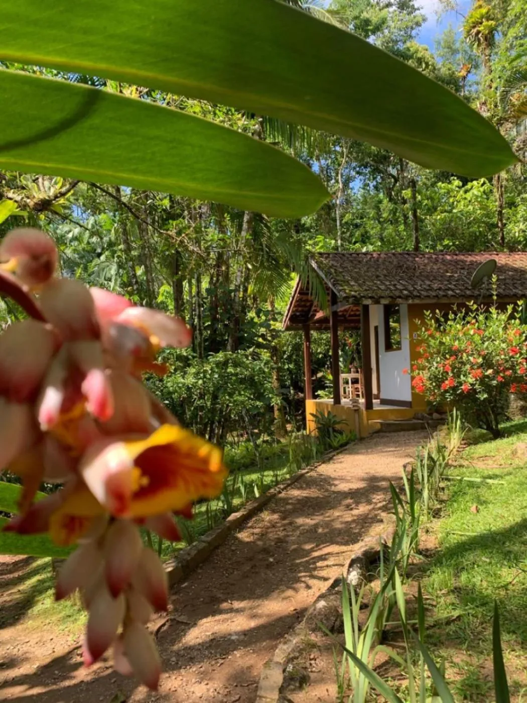 Bedroom in Pousada Bromélias