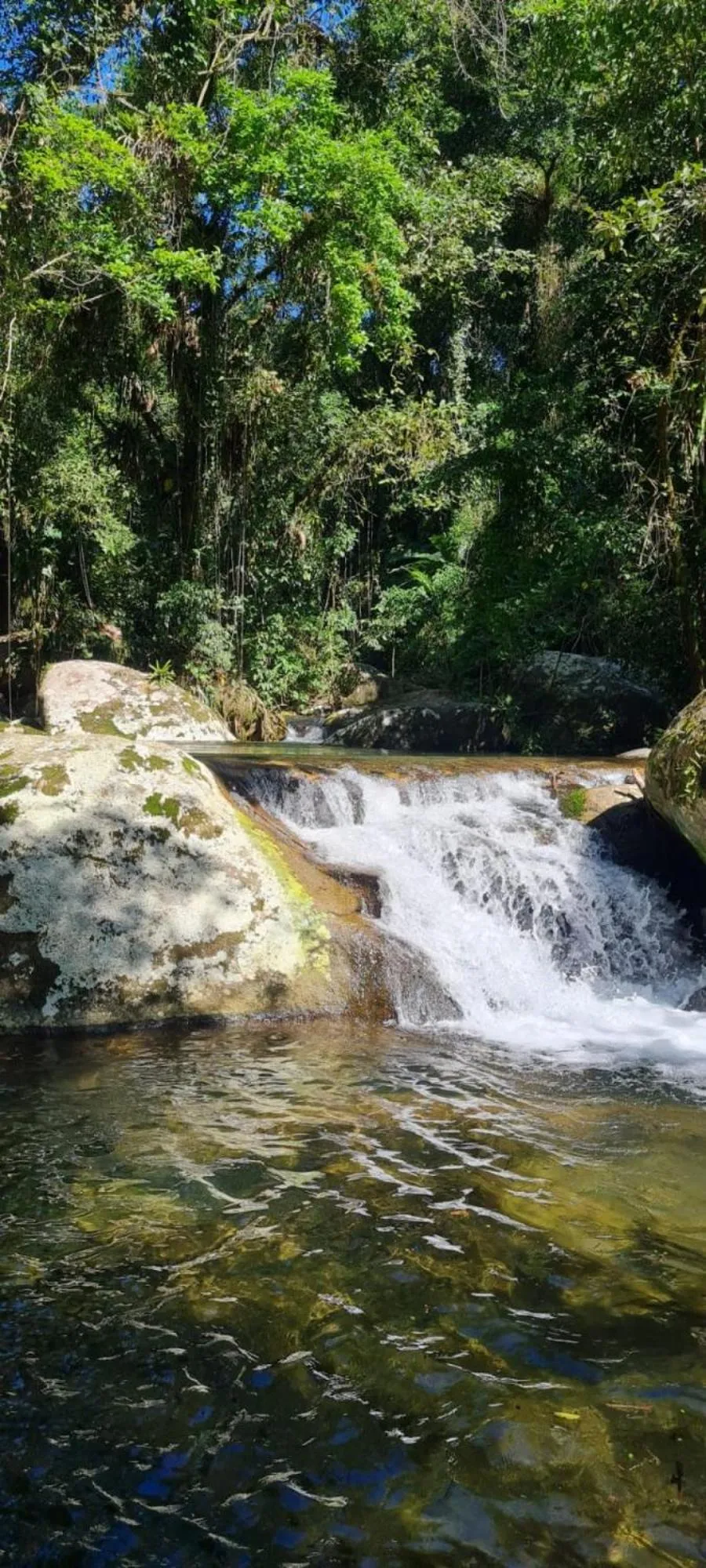 Natural landscape in Pousada Bromélias