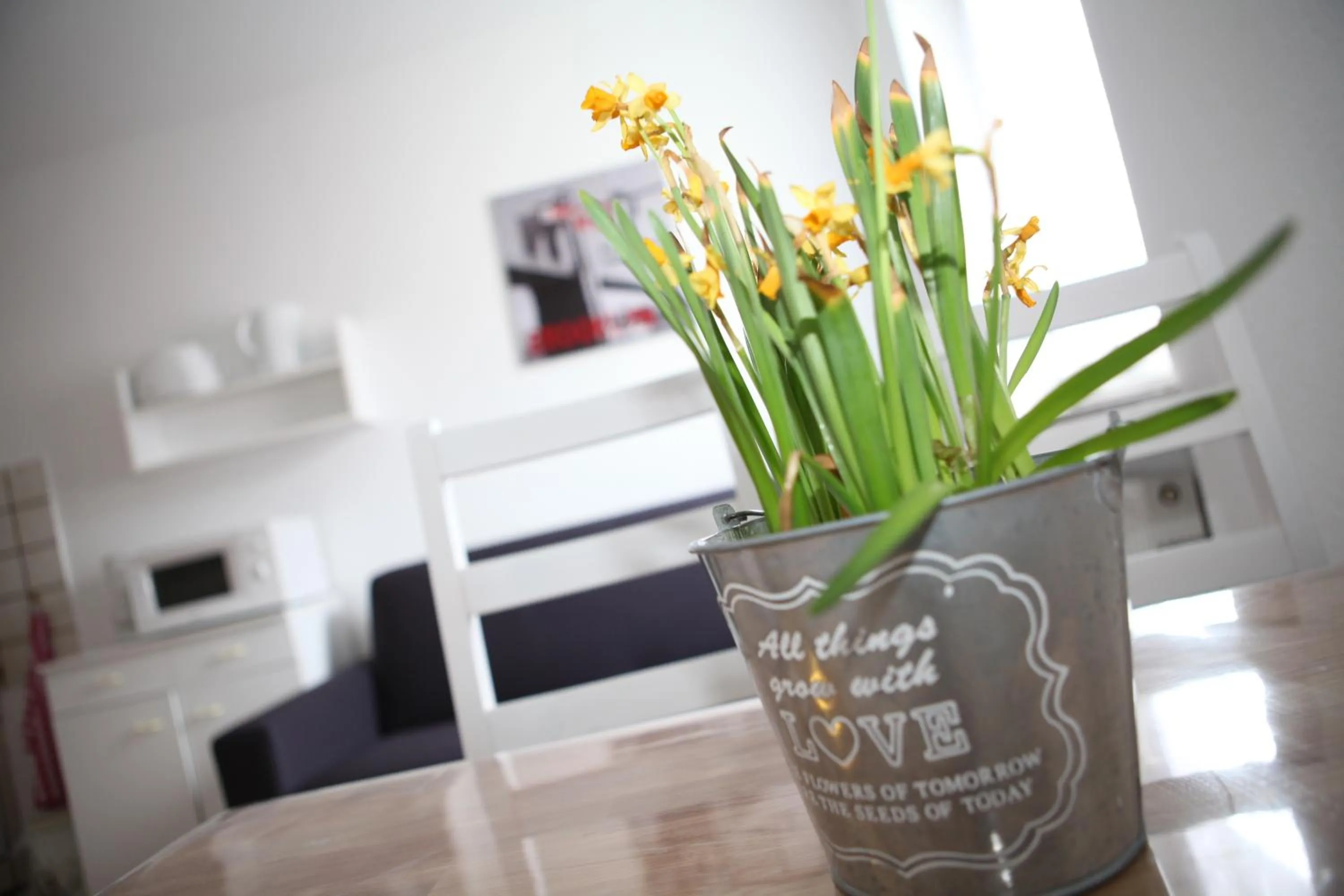 Dining area in Bermuda Apartment
