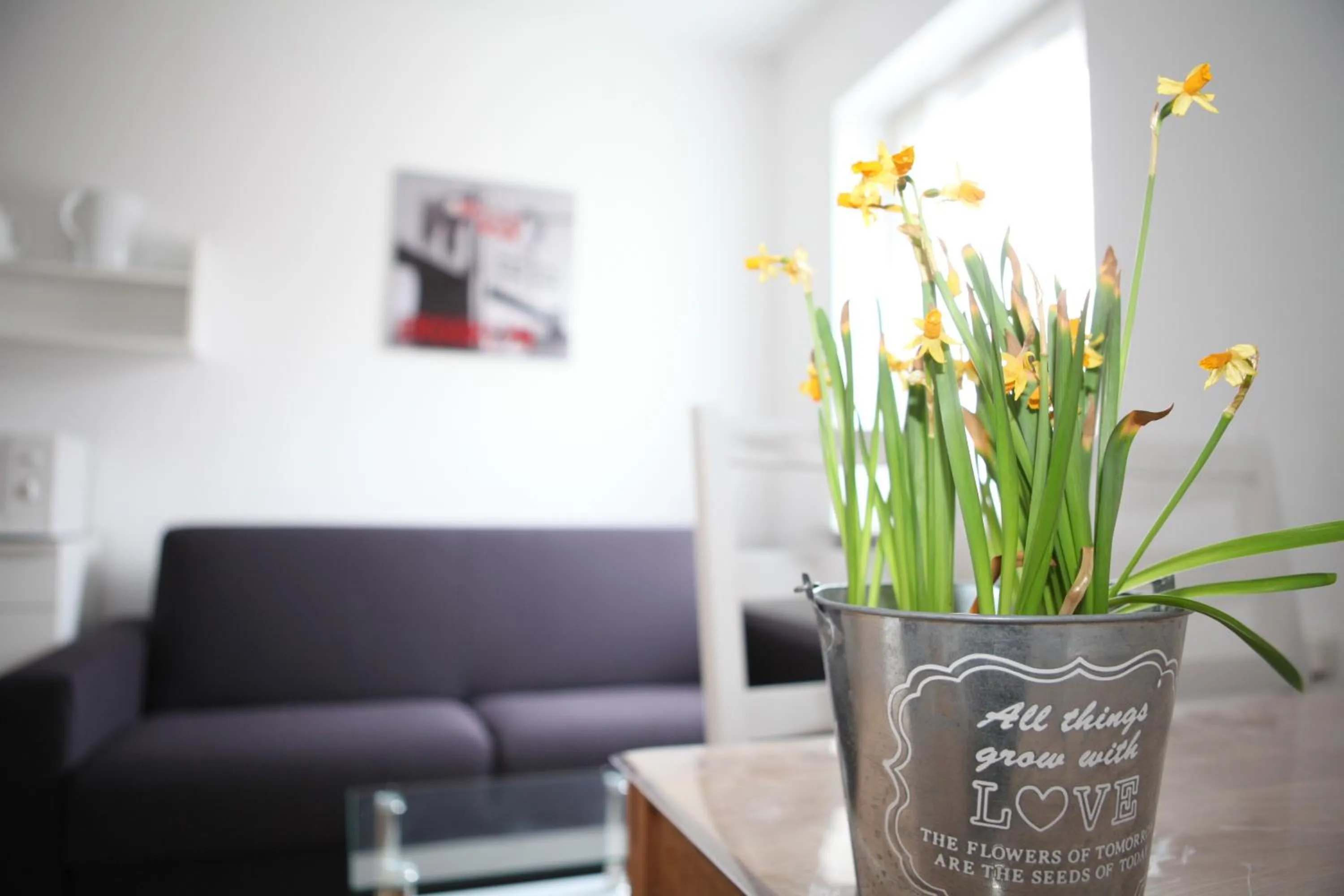 Living room in Bermuda Apartment