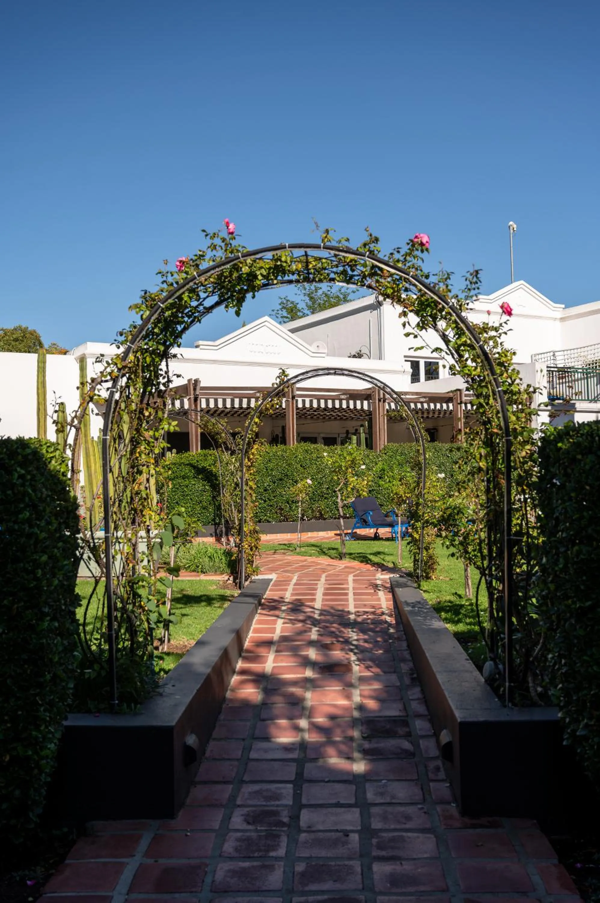 Garden in Majeka House Boutique Hotel by The Living Journey Collection
