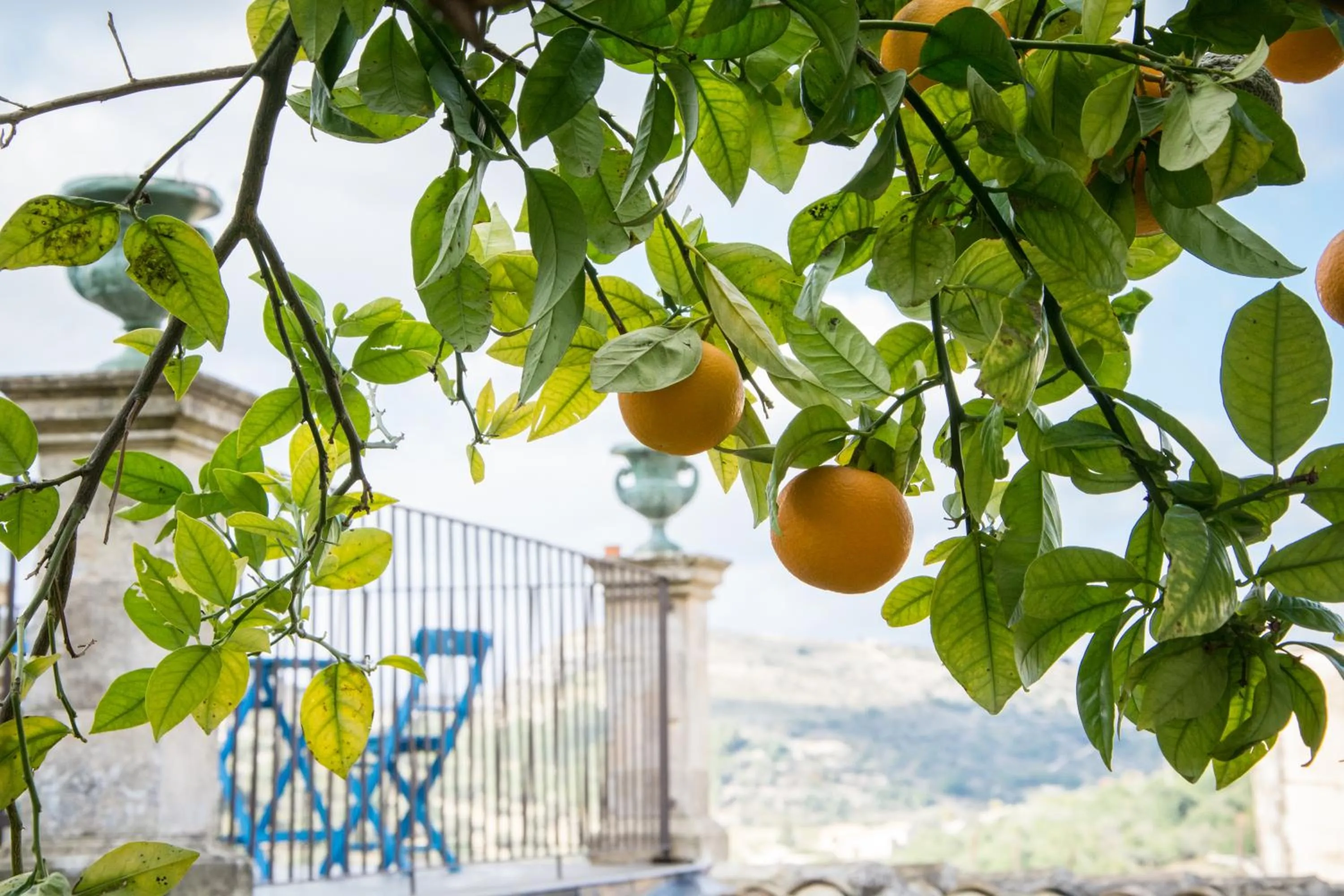 Garden in Iblainsuite