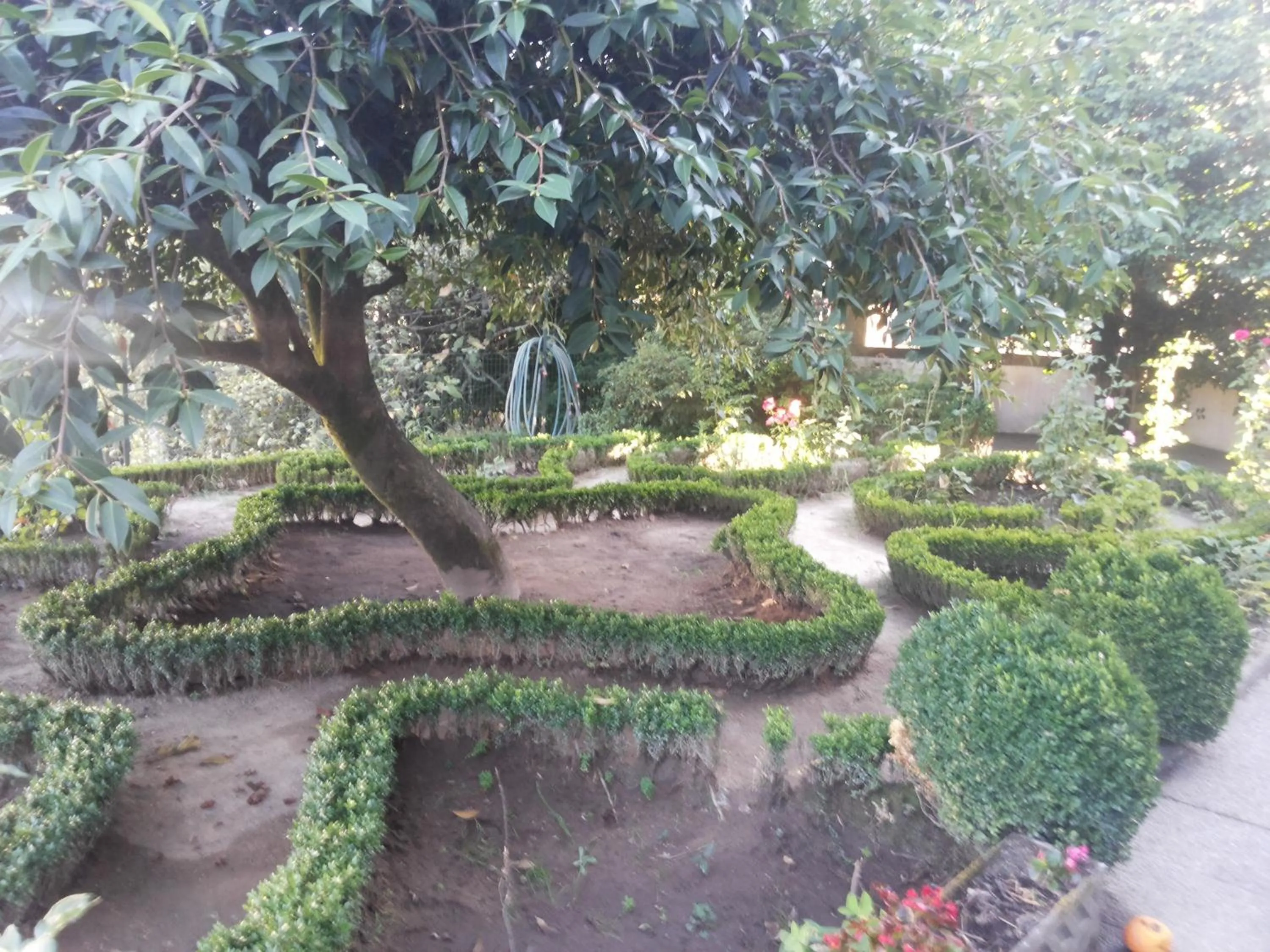 Garden in Estrebuela House