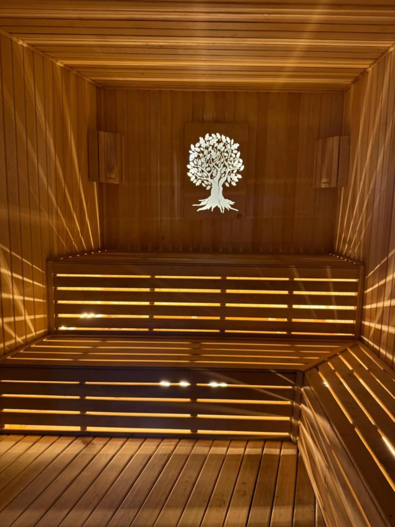 Sauna in Art Air hotel