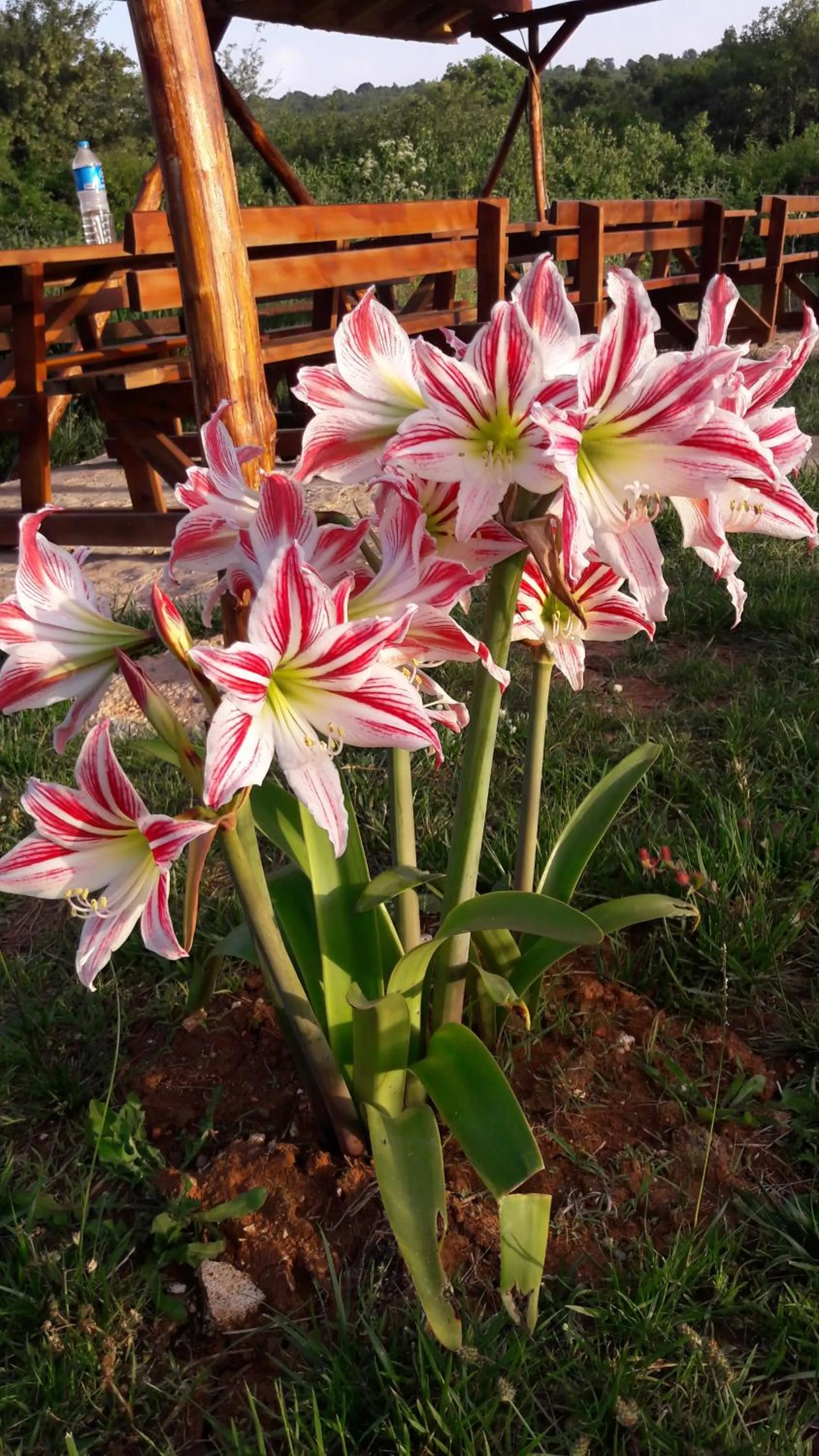 Property building in Kerpe Diem Otel