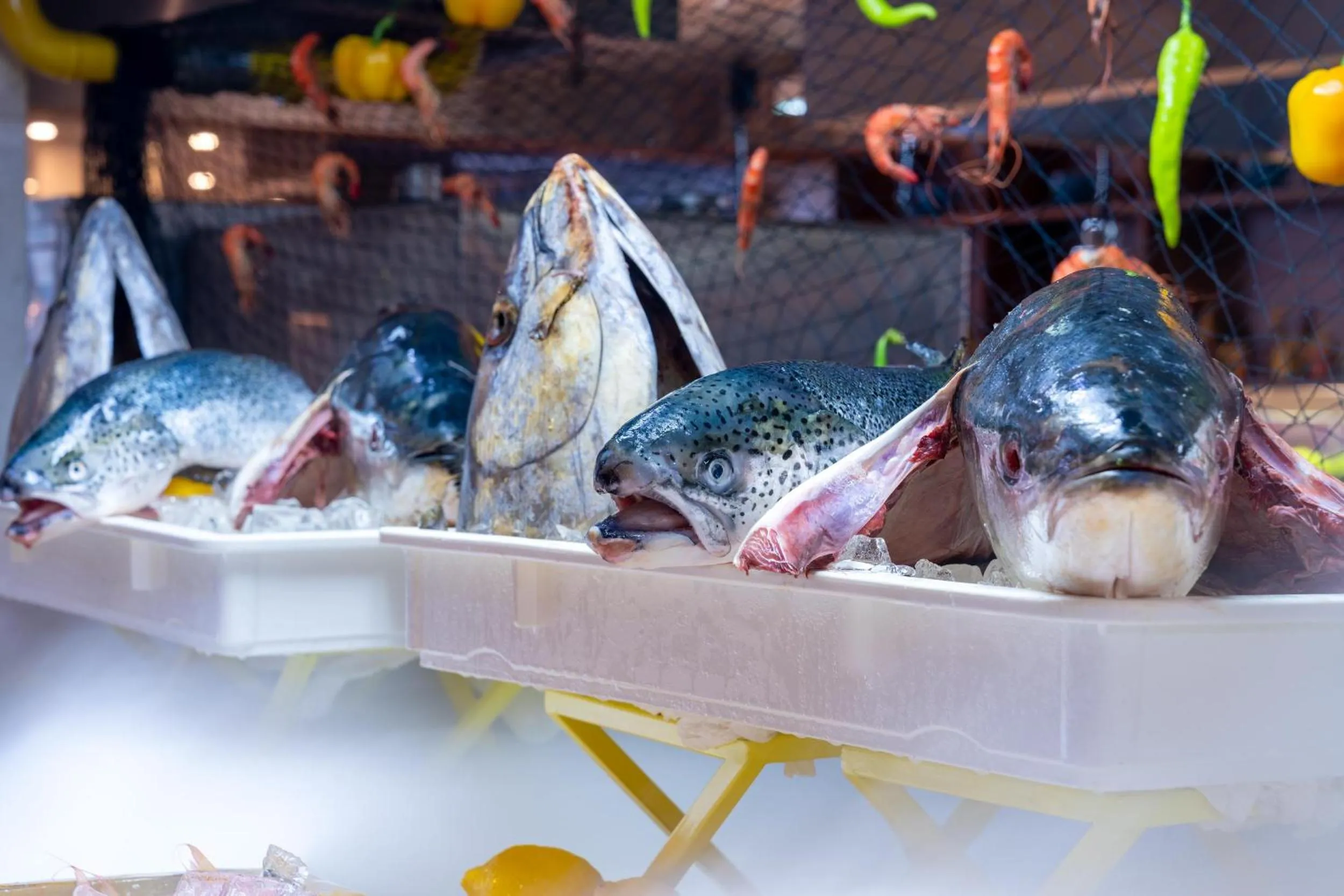 Restaurant/places to eat in Trendy Lara