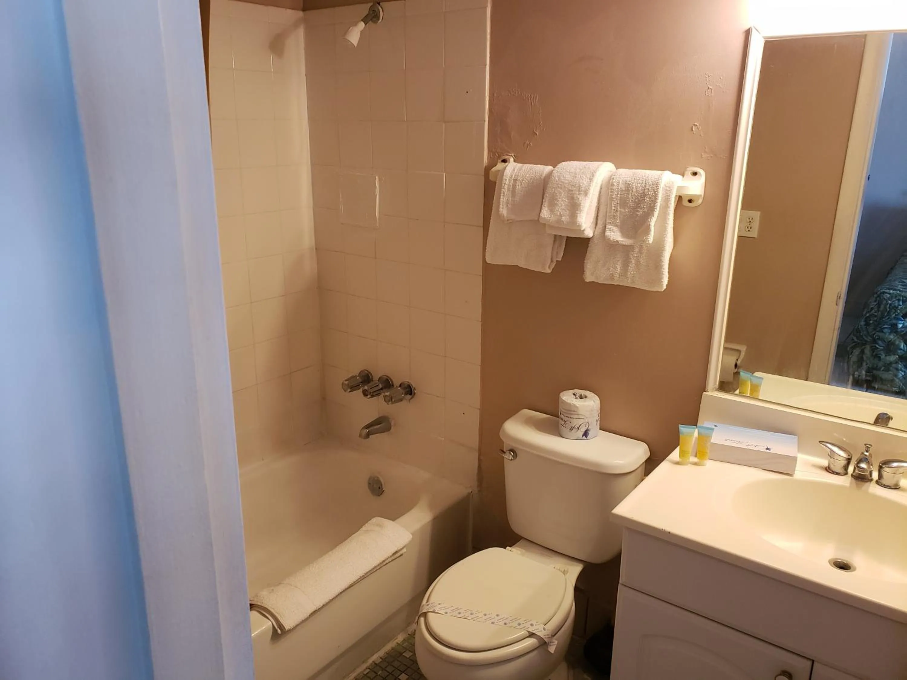 Toilet in SeaScape Inn - Daytona Beach Shores