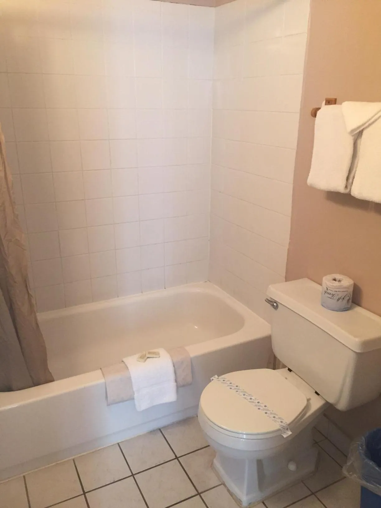 Toilet in SeaScape Inn - Daytona Beach Shores