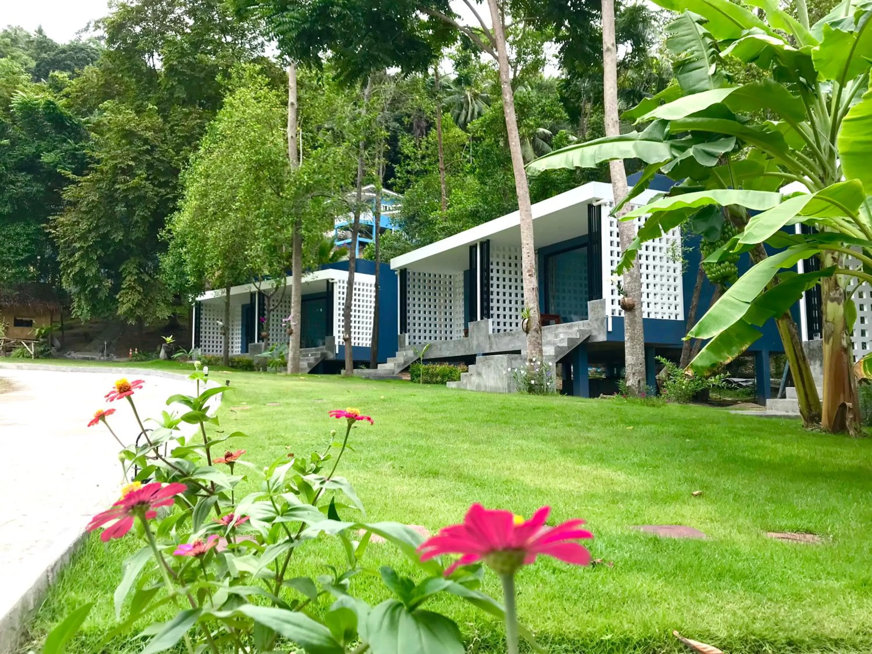 Photo of the whole room in Kiri Tawan