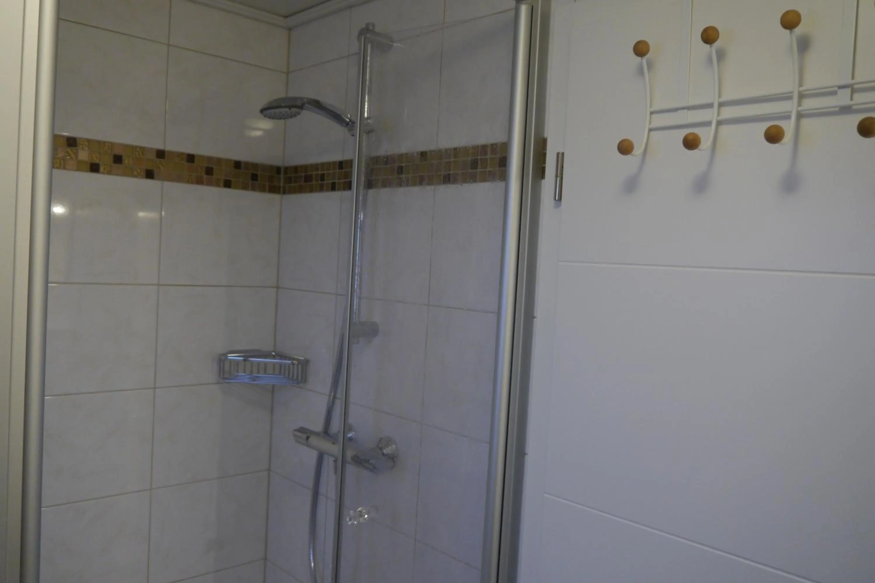 Shower in Hotel Haus Wittwer