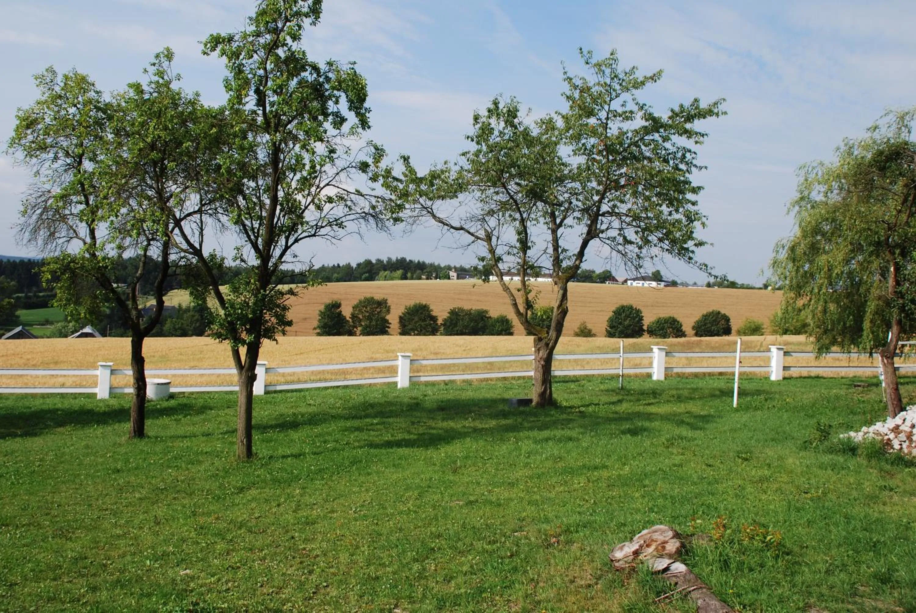 Area and facilities in Hotel Alpenhof
