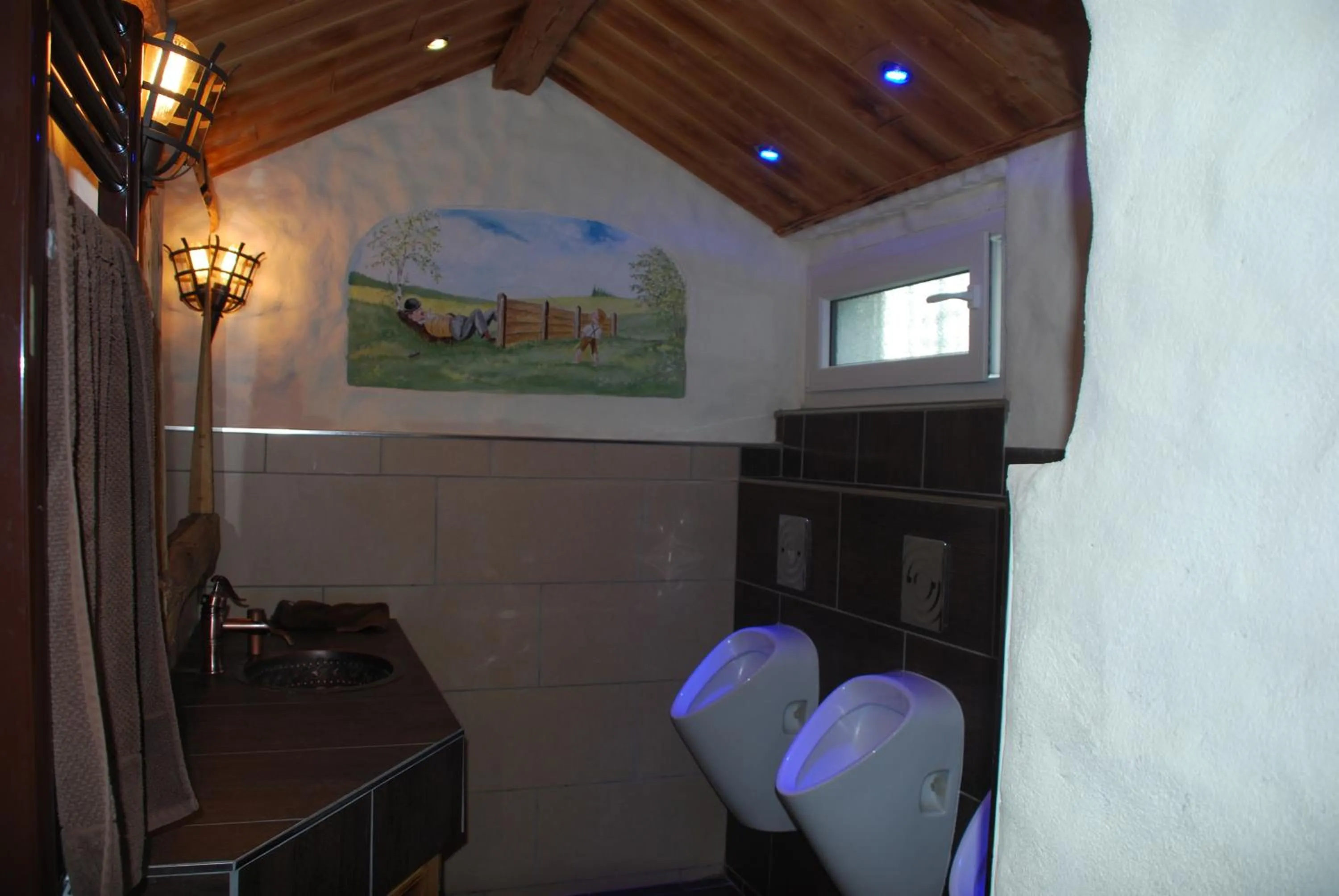 Area and facilities in Hotel Alpenhof