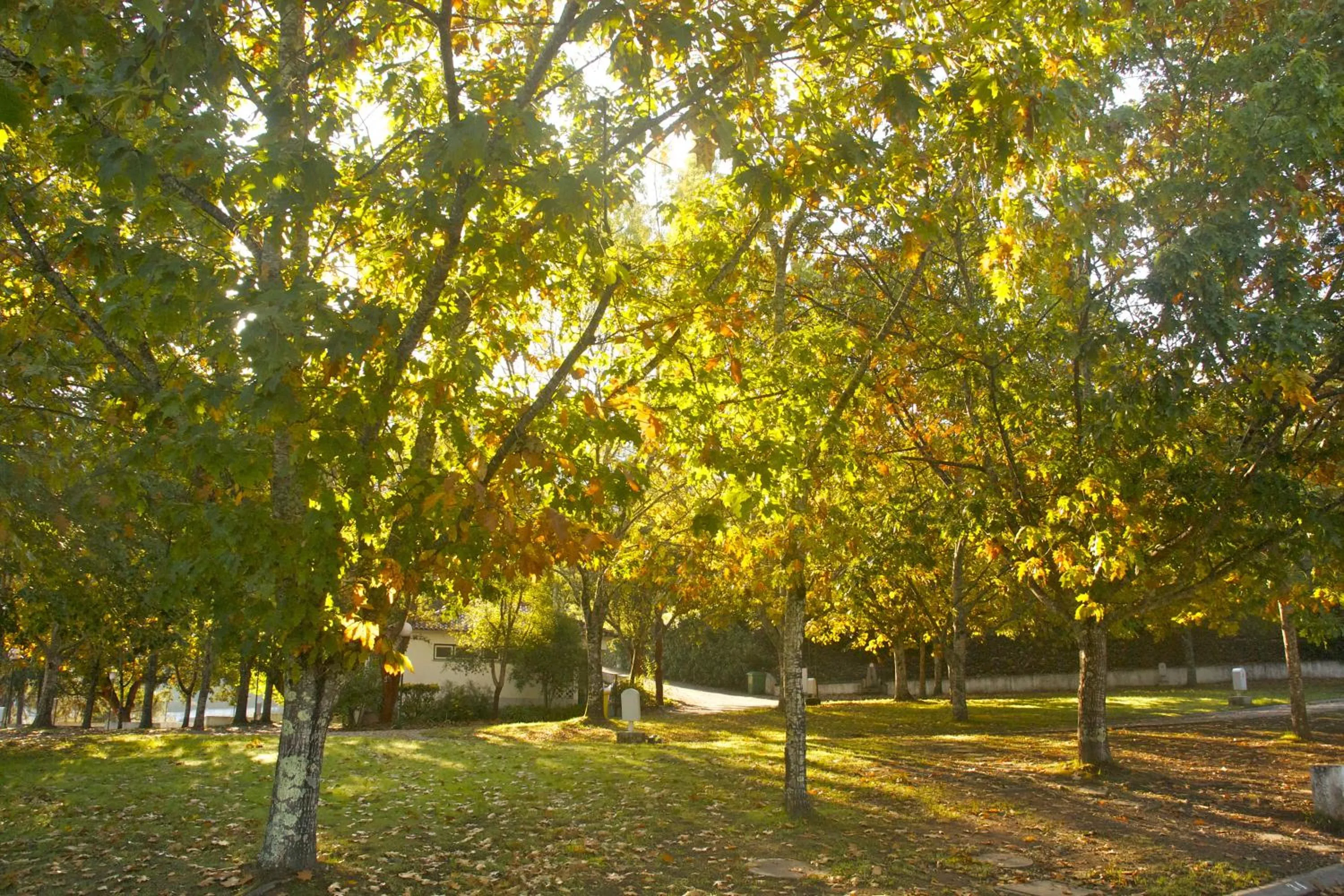Off site in Góis Camping