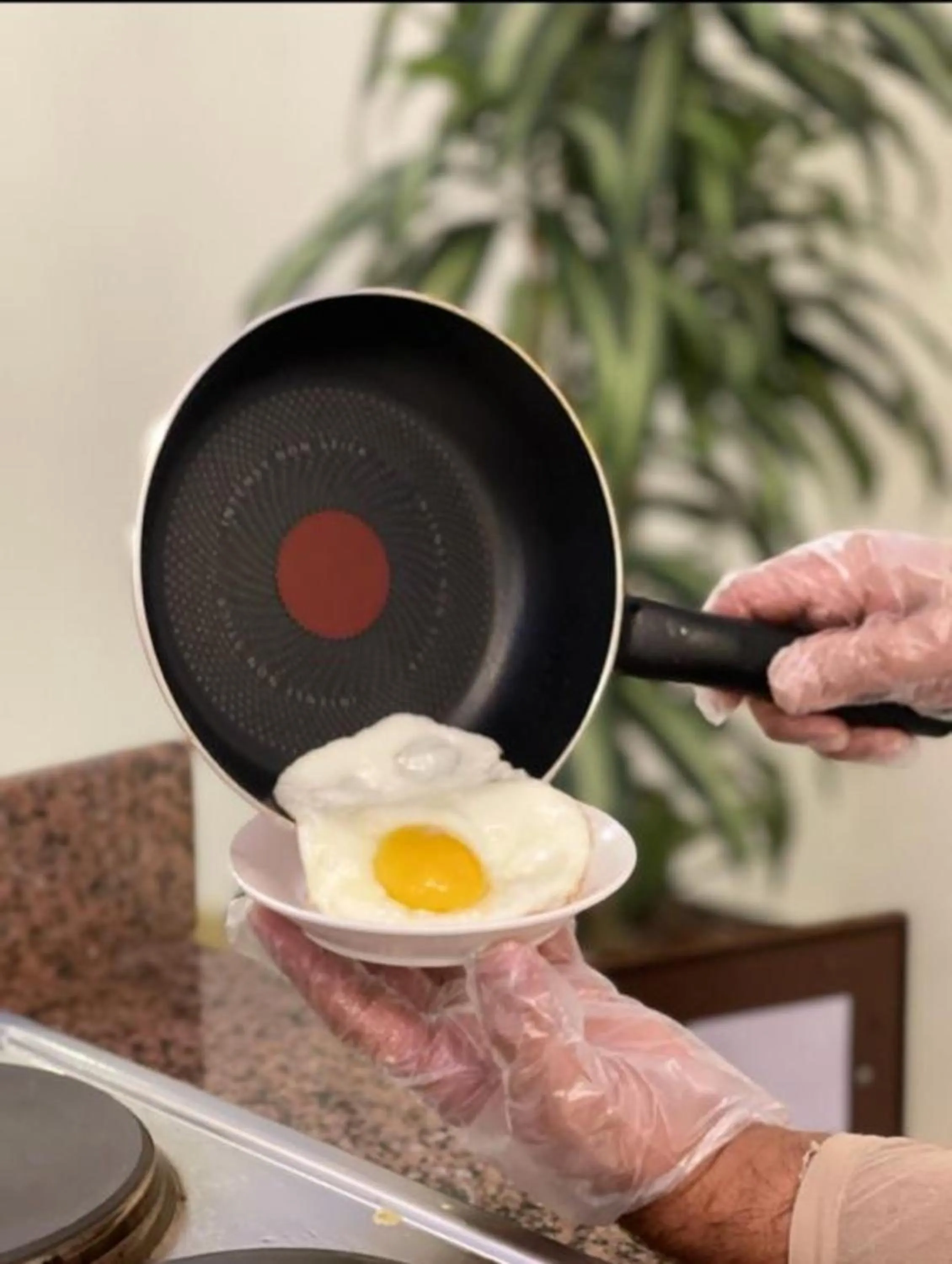 Food close-up in Sama Inn Hotel