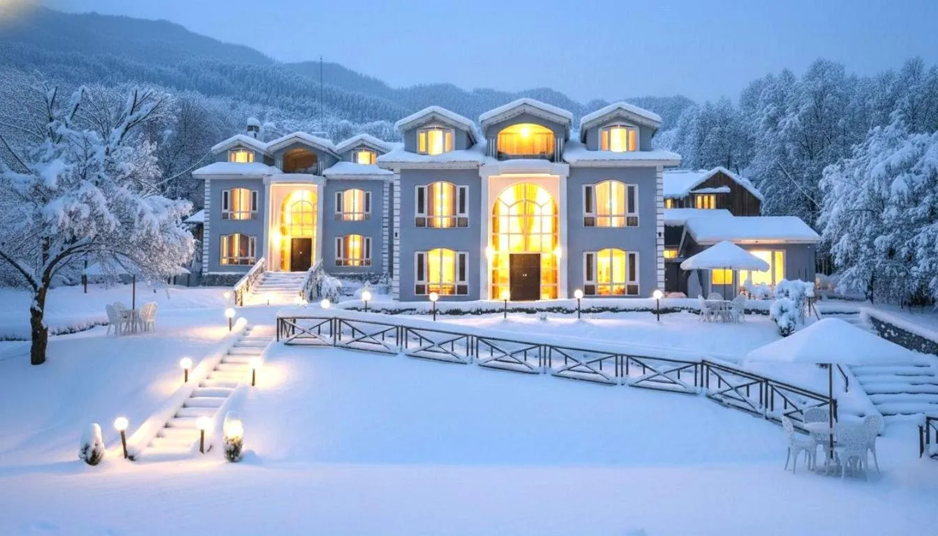 Forest Hill Resorts