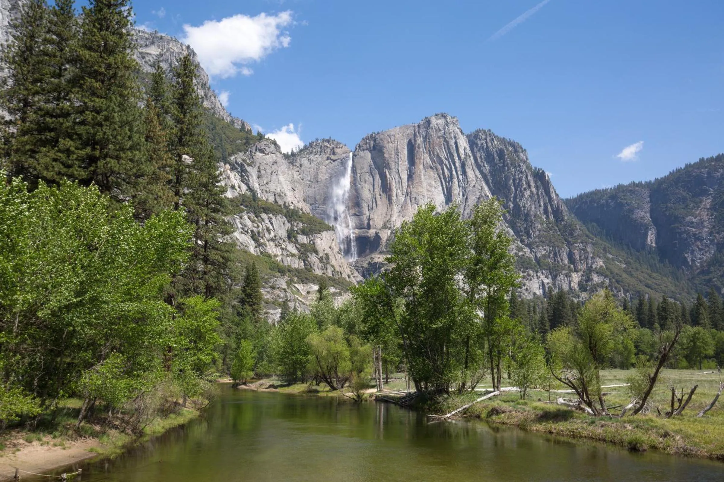 Natural landscape in Rush Creek Lodge at Yosemite