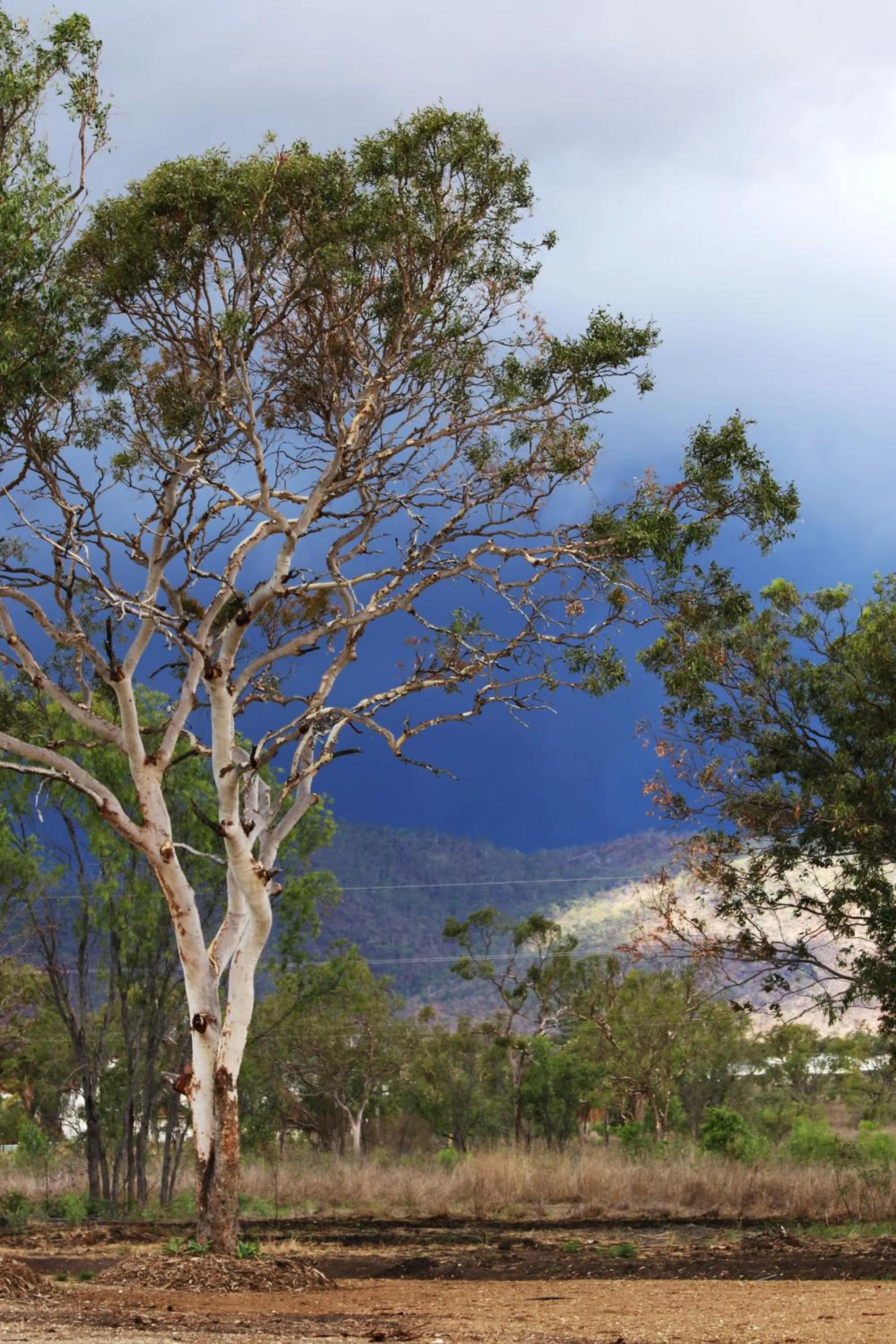 Mountain view in Casa Nostra Motel