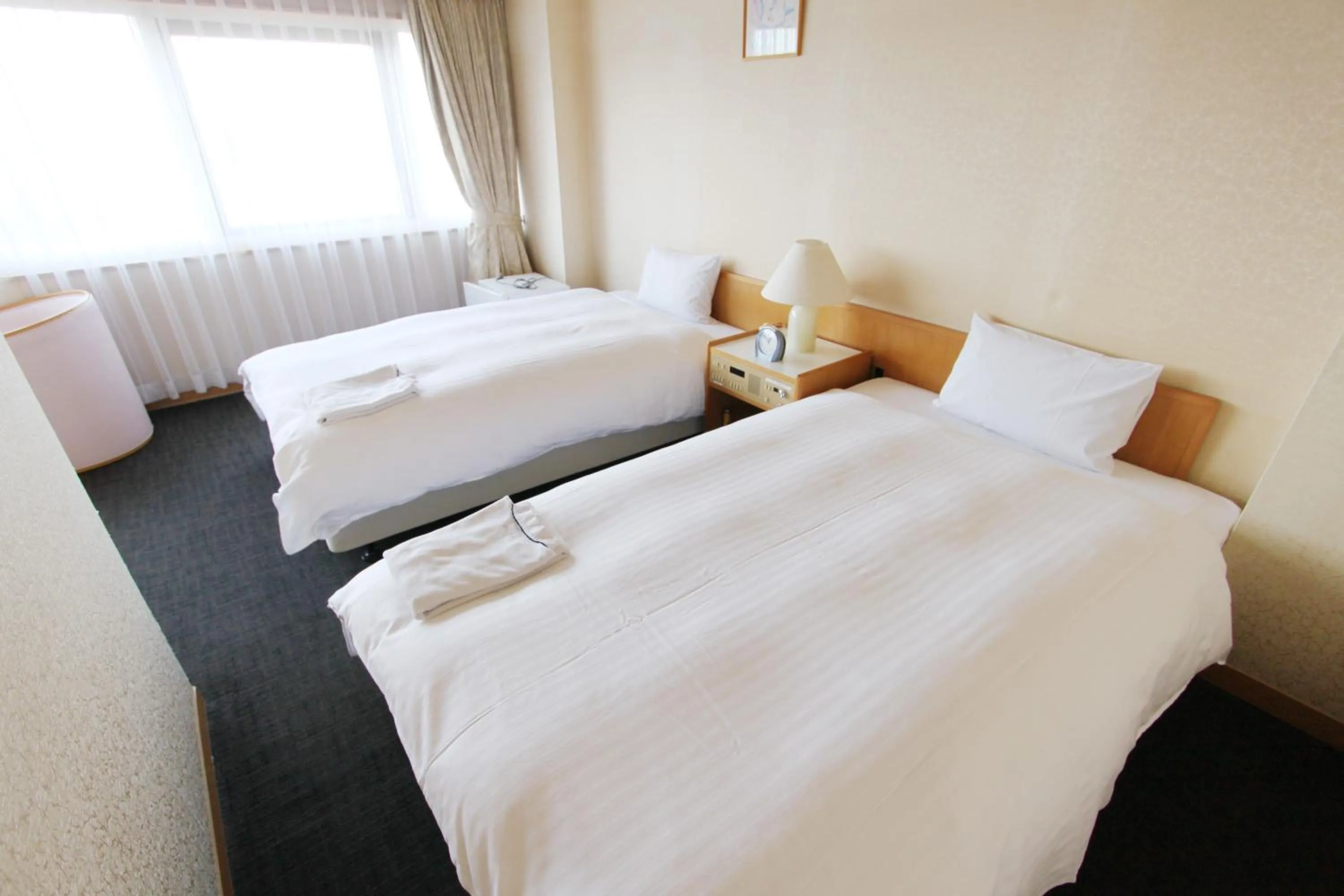 Photo of the whole room in Smile Hotel Tokyo-Tamanagayama