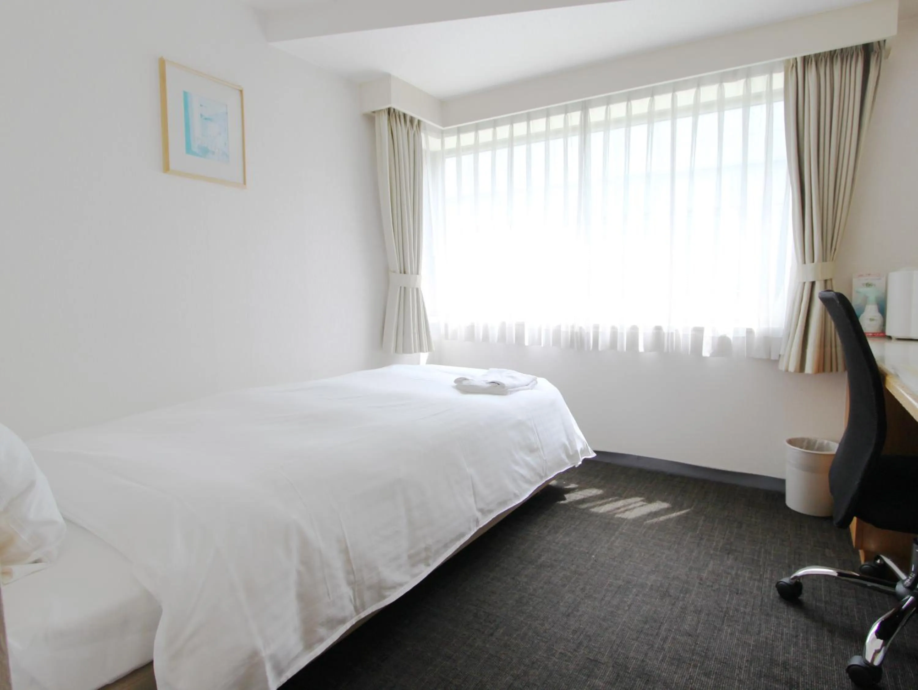 Photo of the whole room in Smile Hotel Tokyo-Tamanagayama