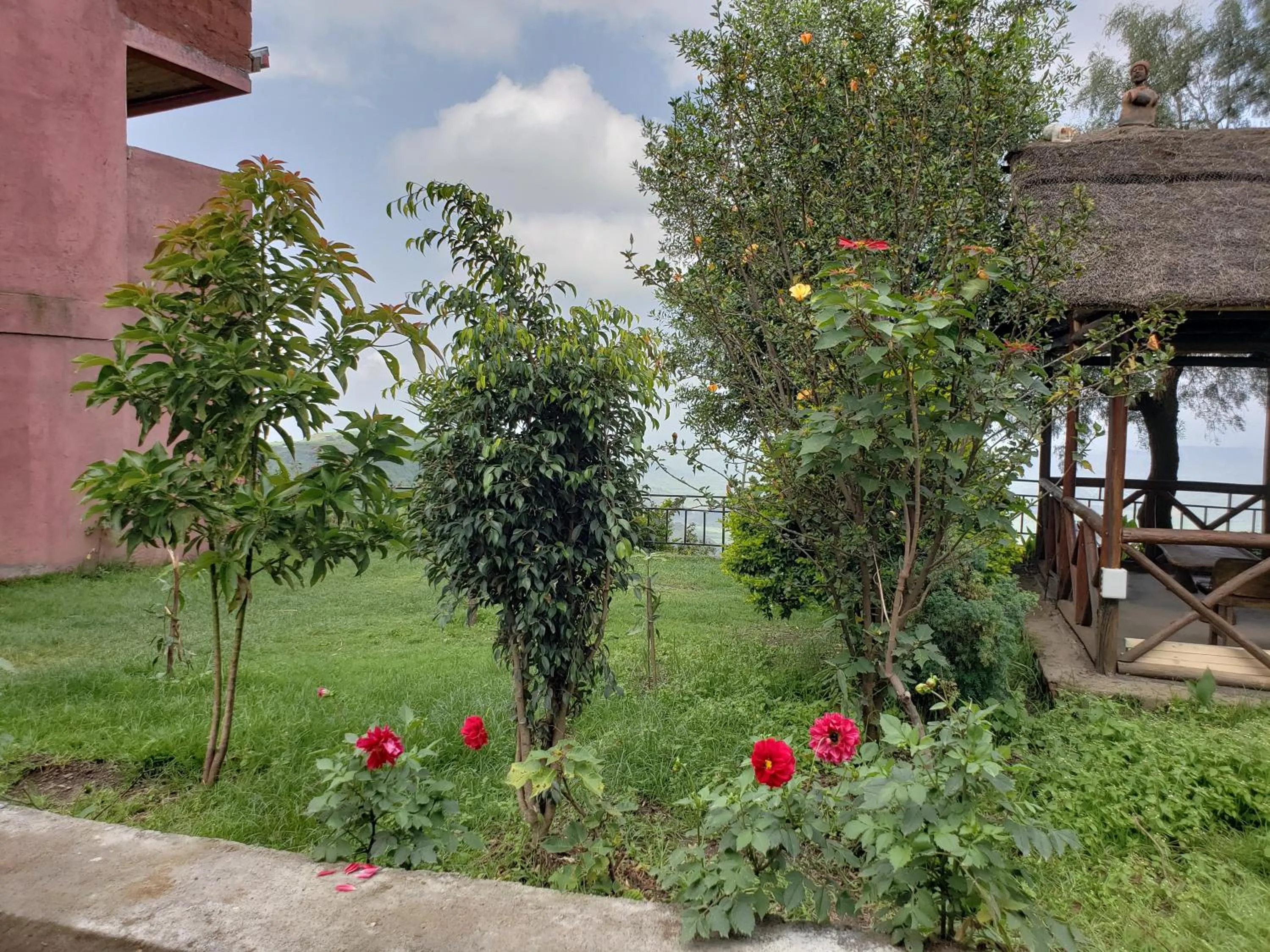Garden in Top Twelve Hotel - Lalibela