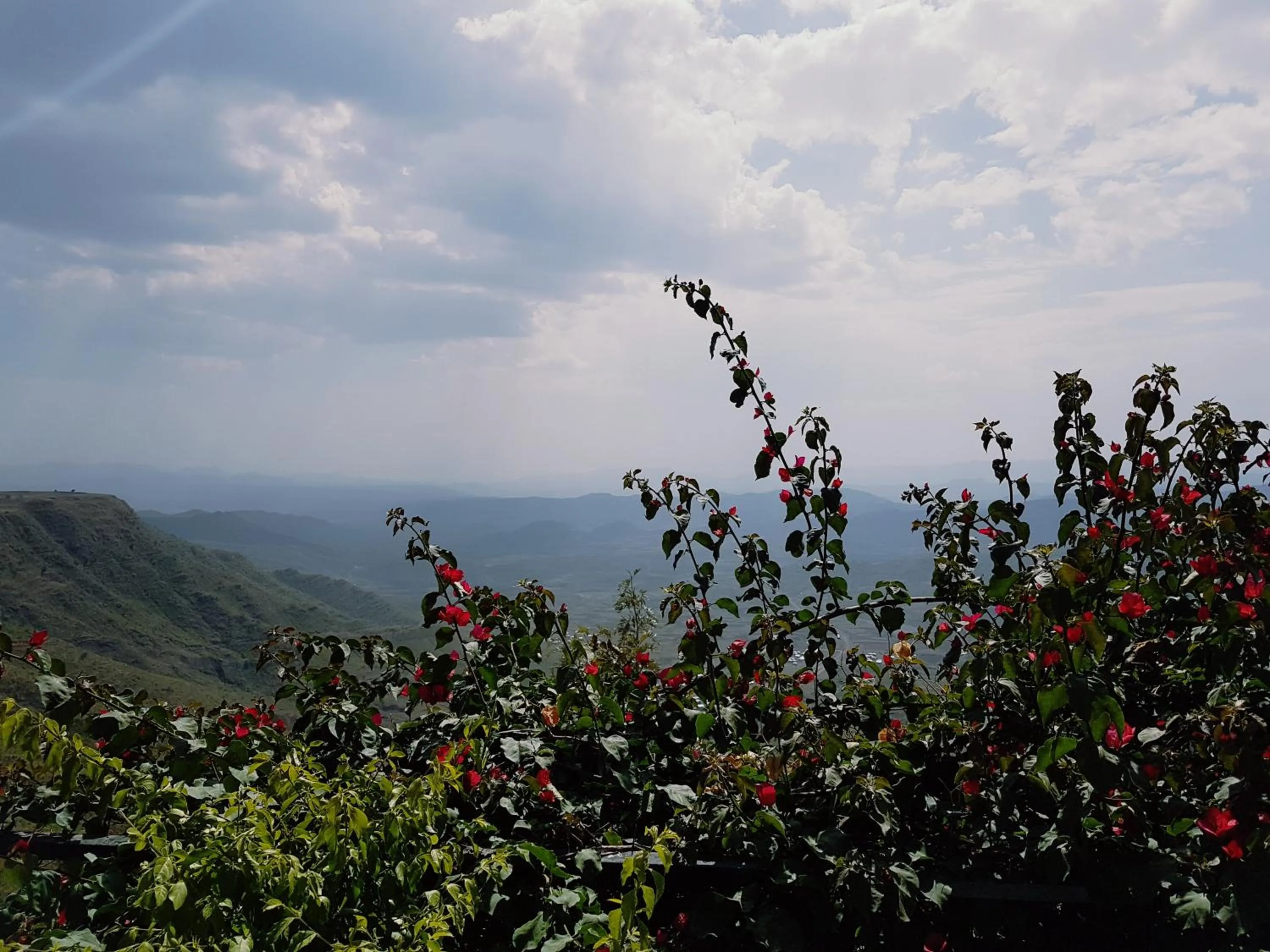 Garden in Top Twelve Hotel - Lalibela