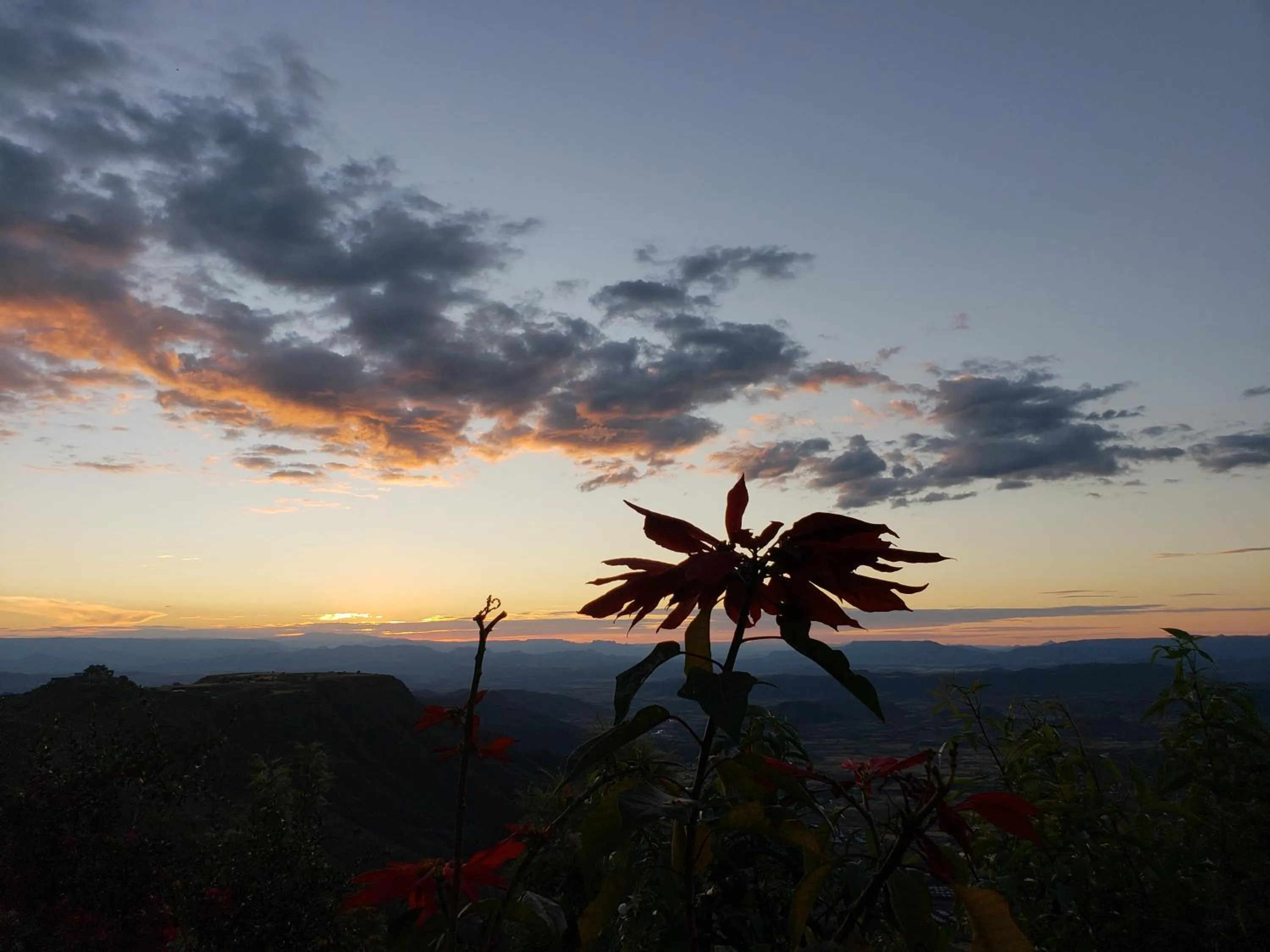 Garden in Top Twelve Hotel - Lalibela