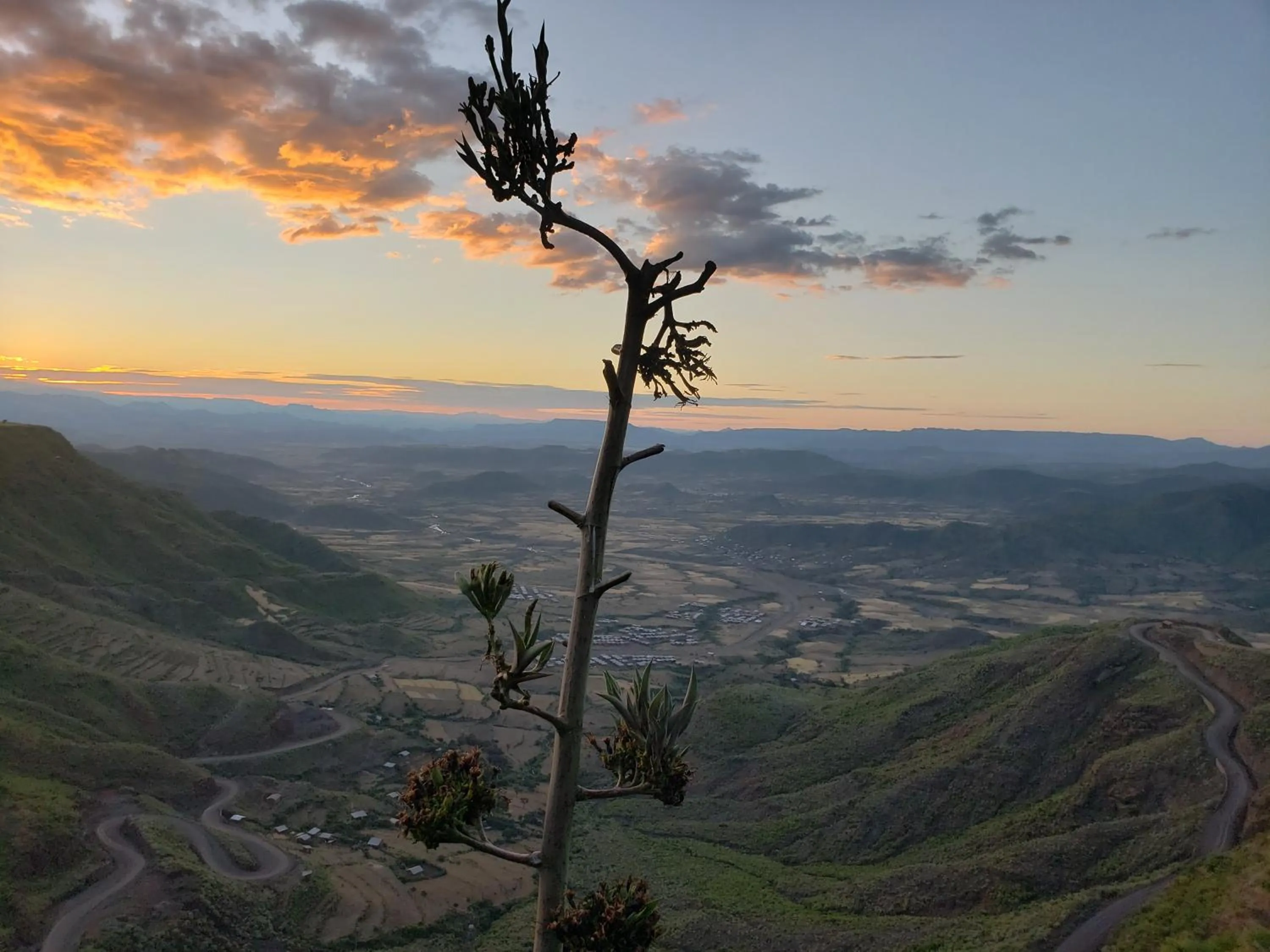 Garden in Top Twelve Hotel - Lalibela