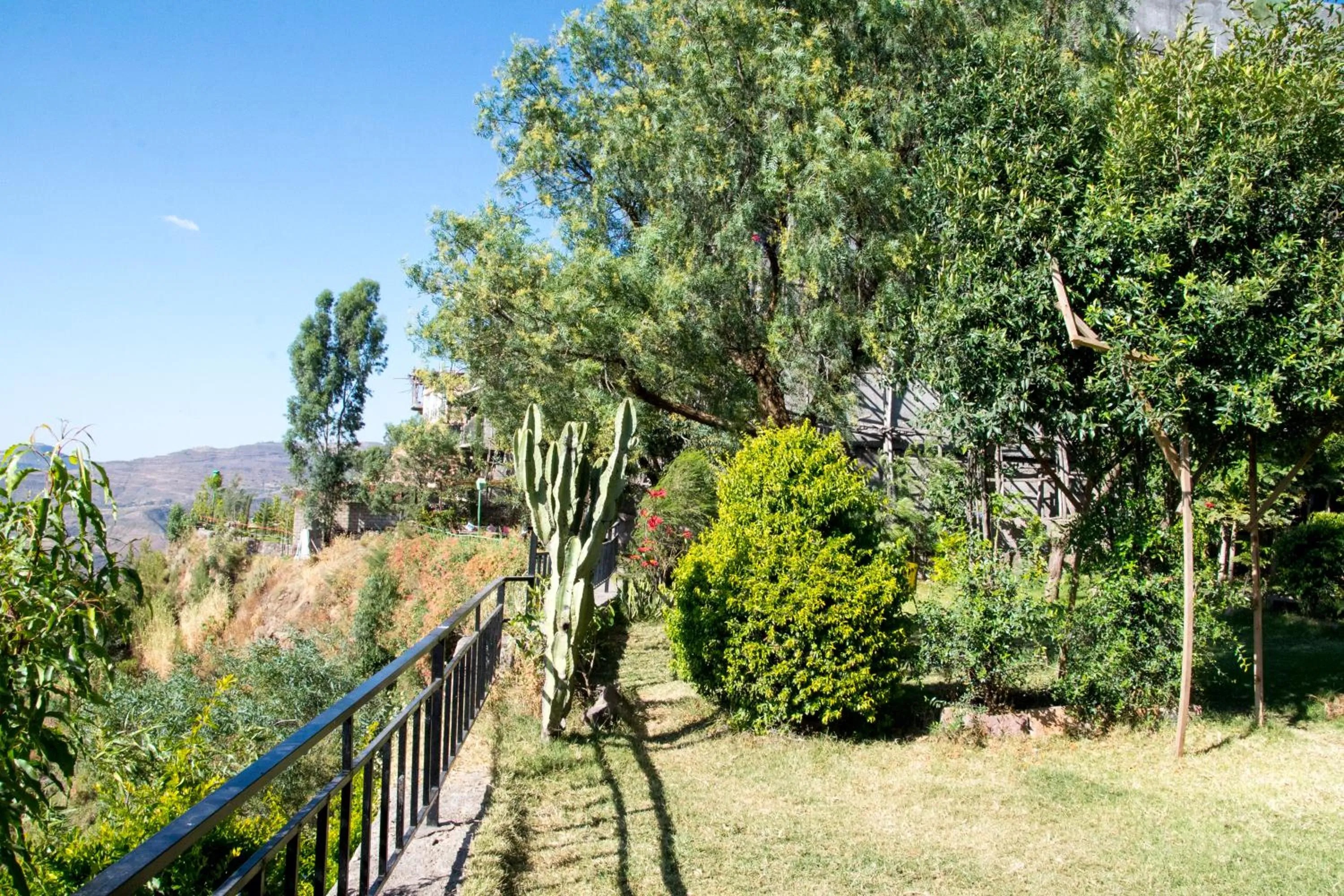 Garden view in Top Twelve Hotel - Lalibela