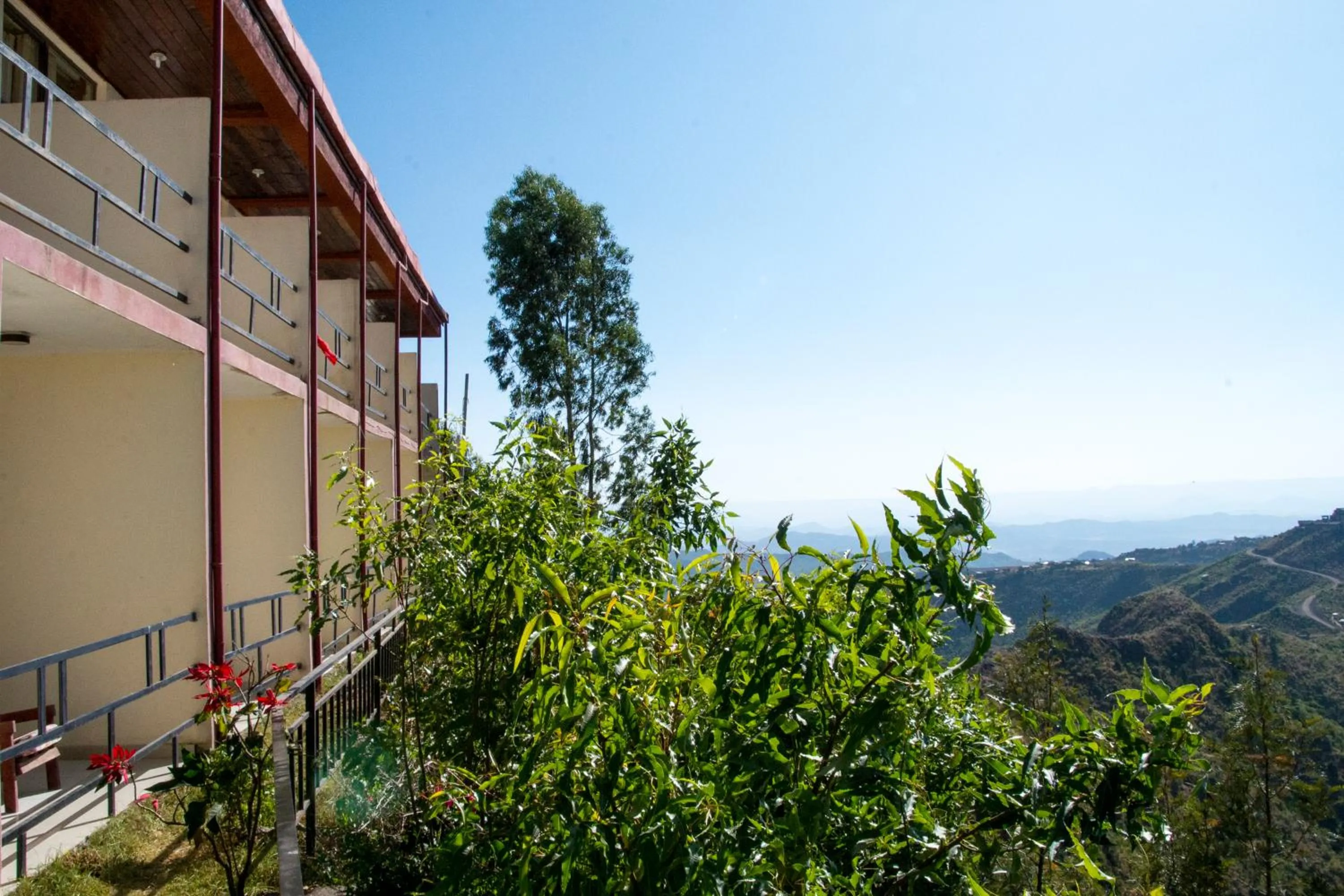 Garden in Top Twelve Hotel - Lalibela